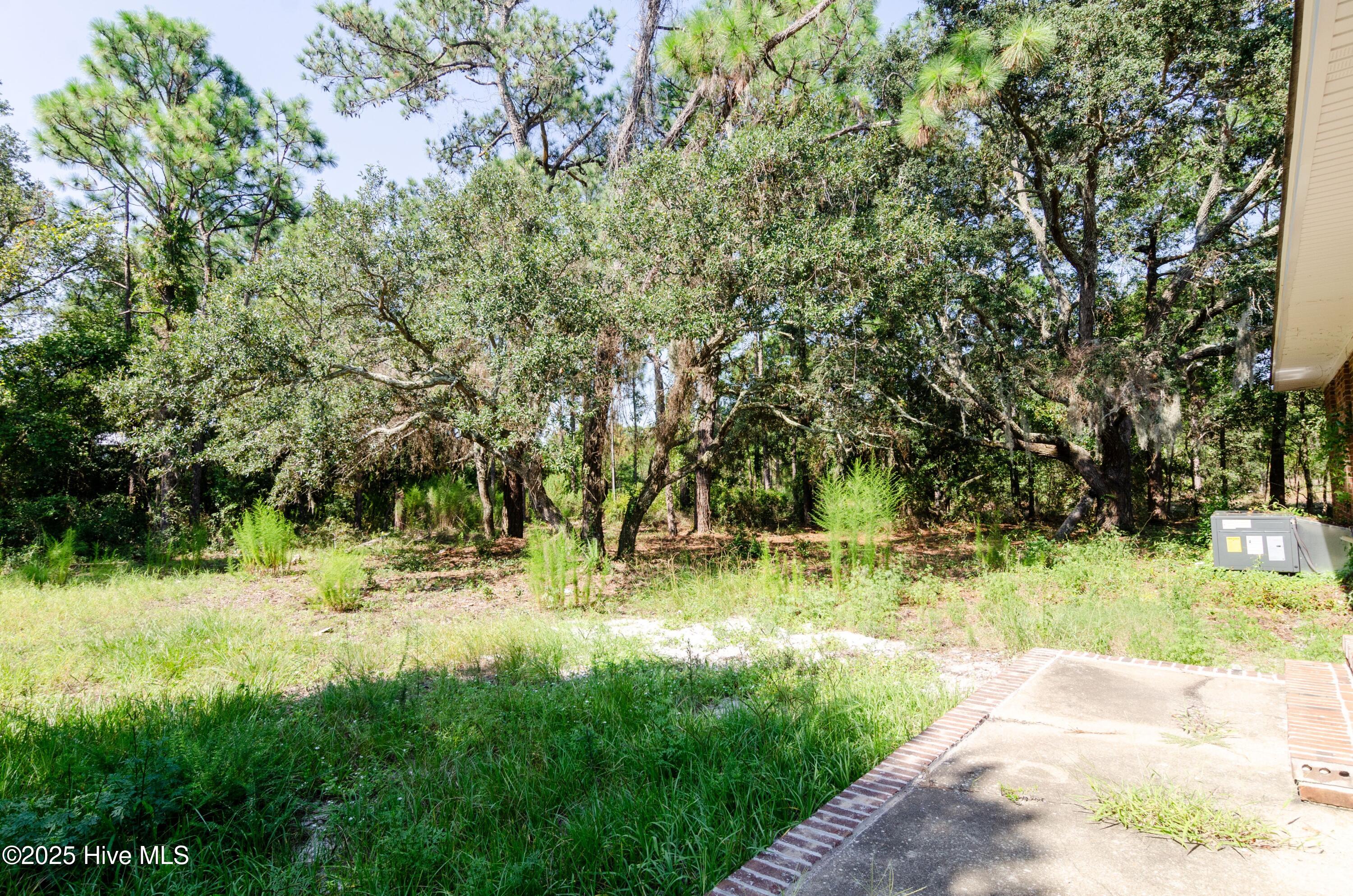 100537439 | Photo 21