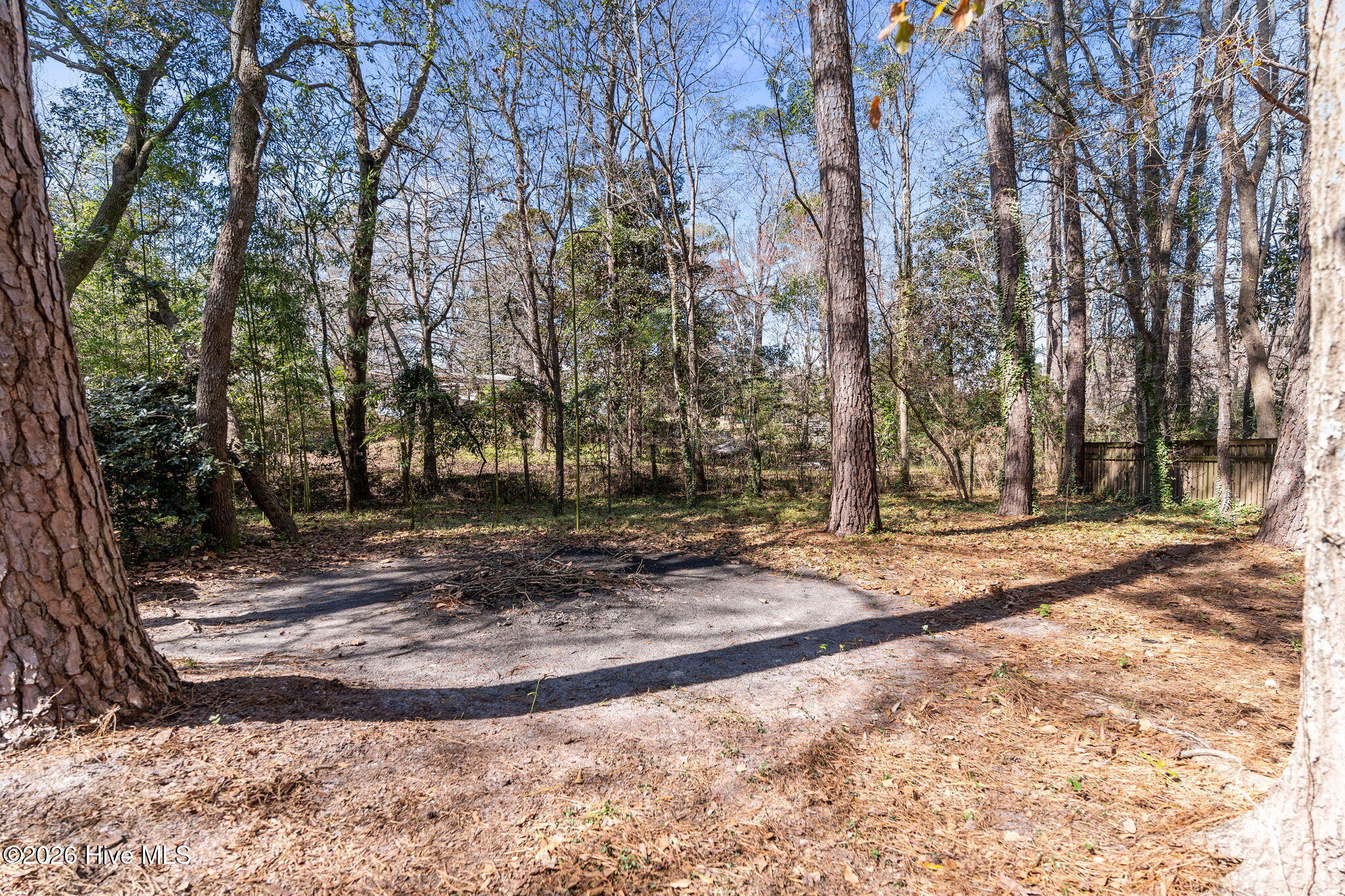 100556740 | Photo 42