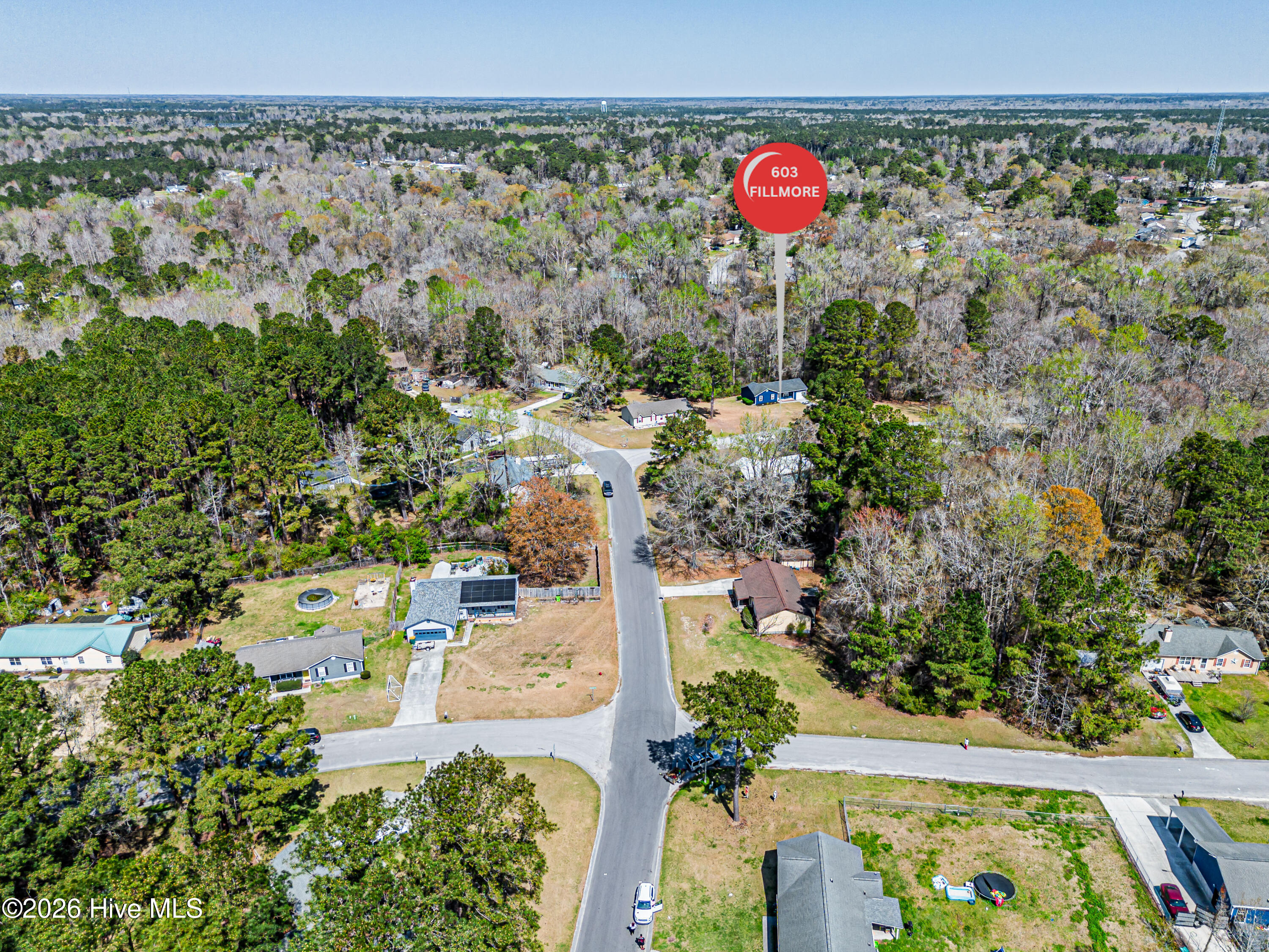 100564633 | Photo 80