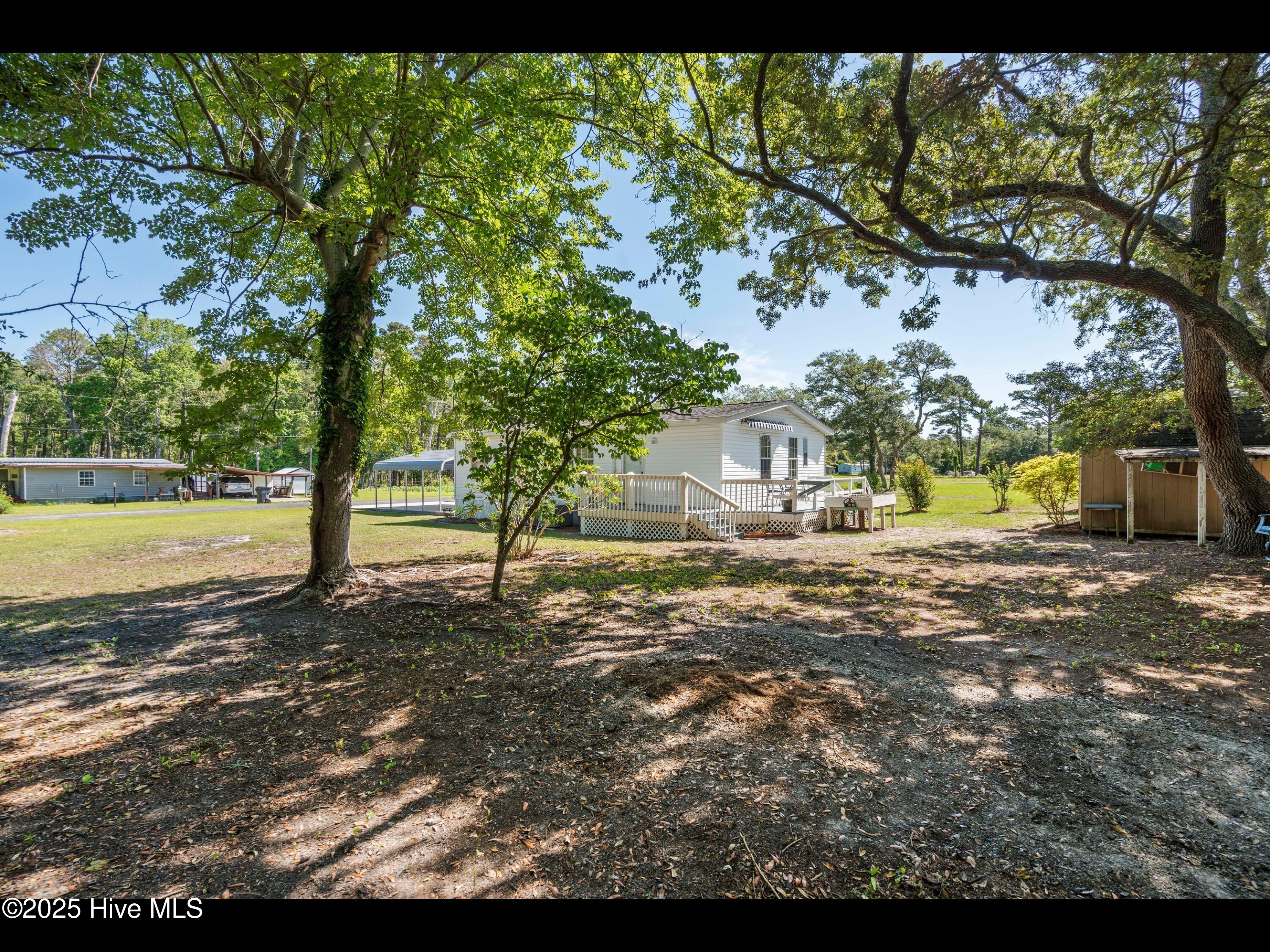 100516812 | Photo 11