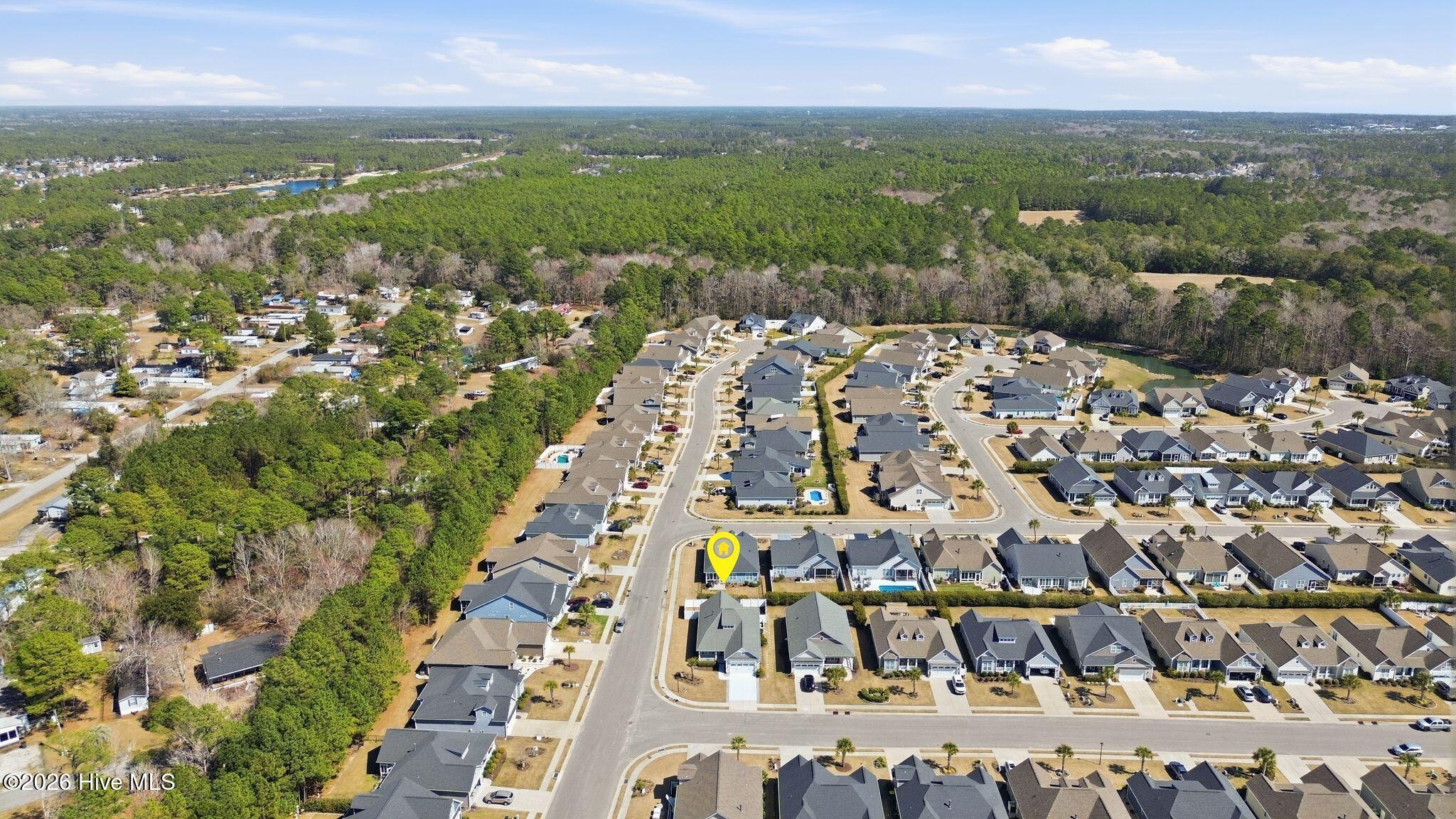 100559439 | Photo 91