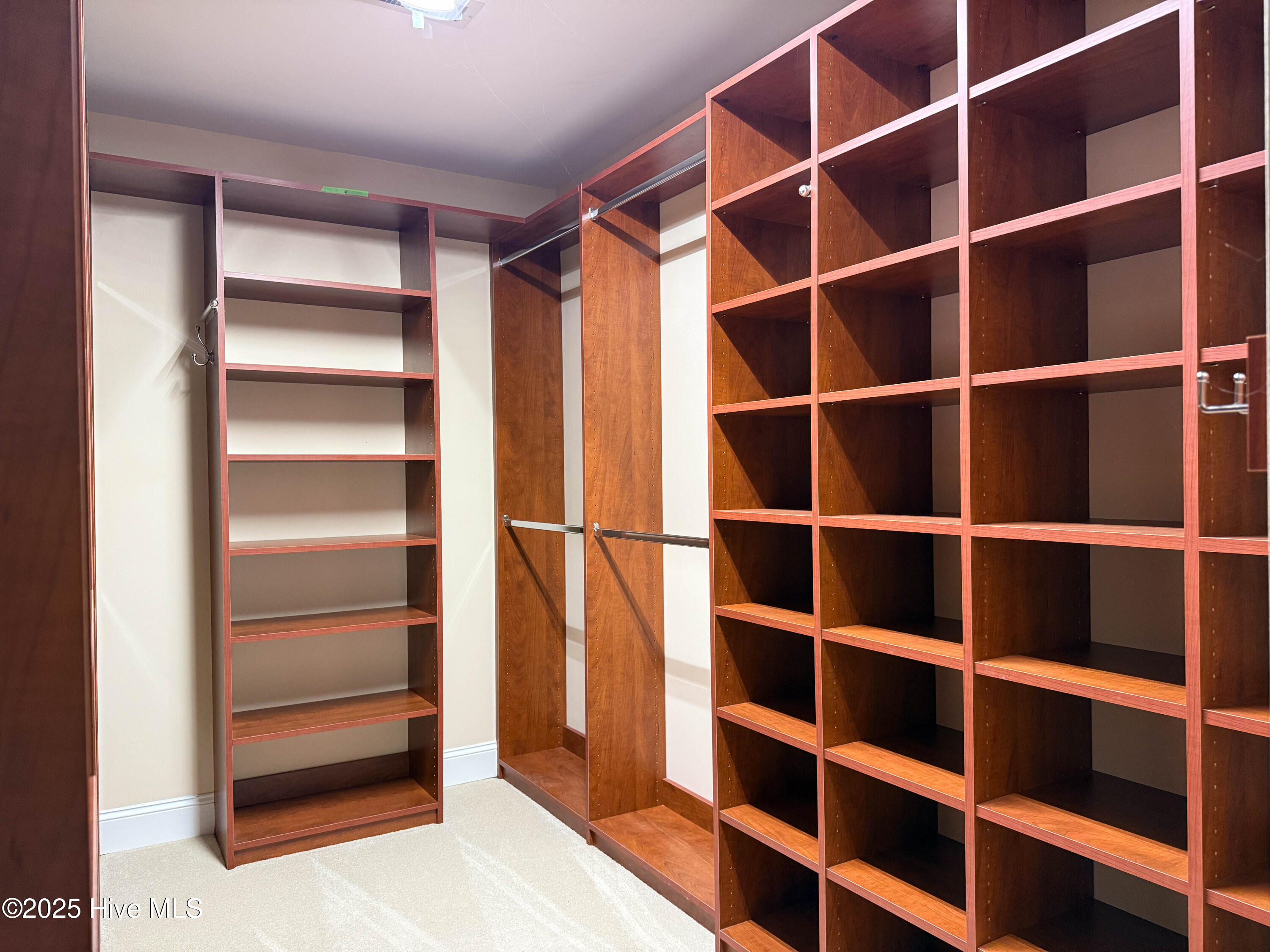 100535071 | Photo 27