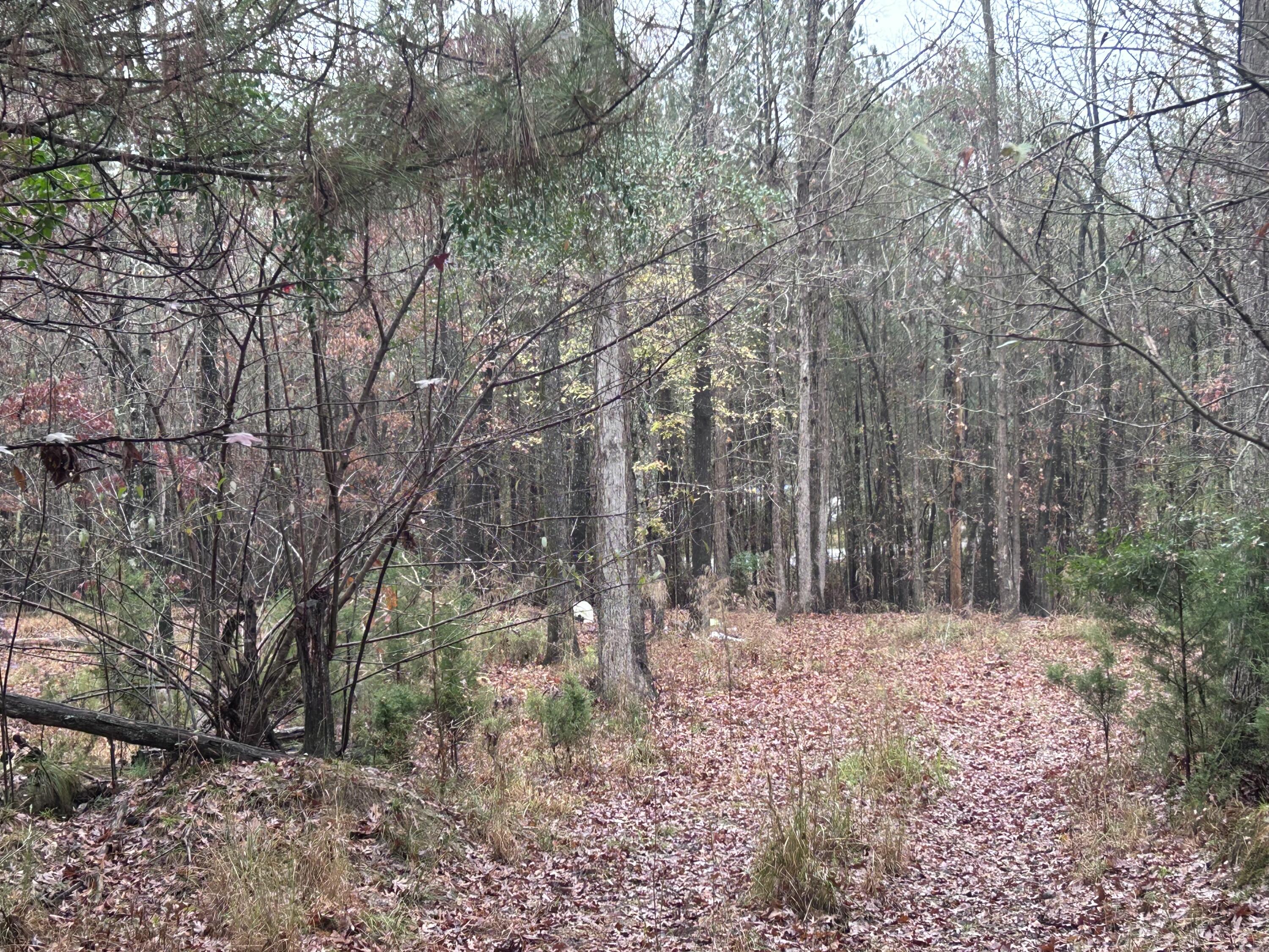 1956 Pineywoods Road, Lincolnton, GA, 30817