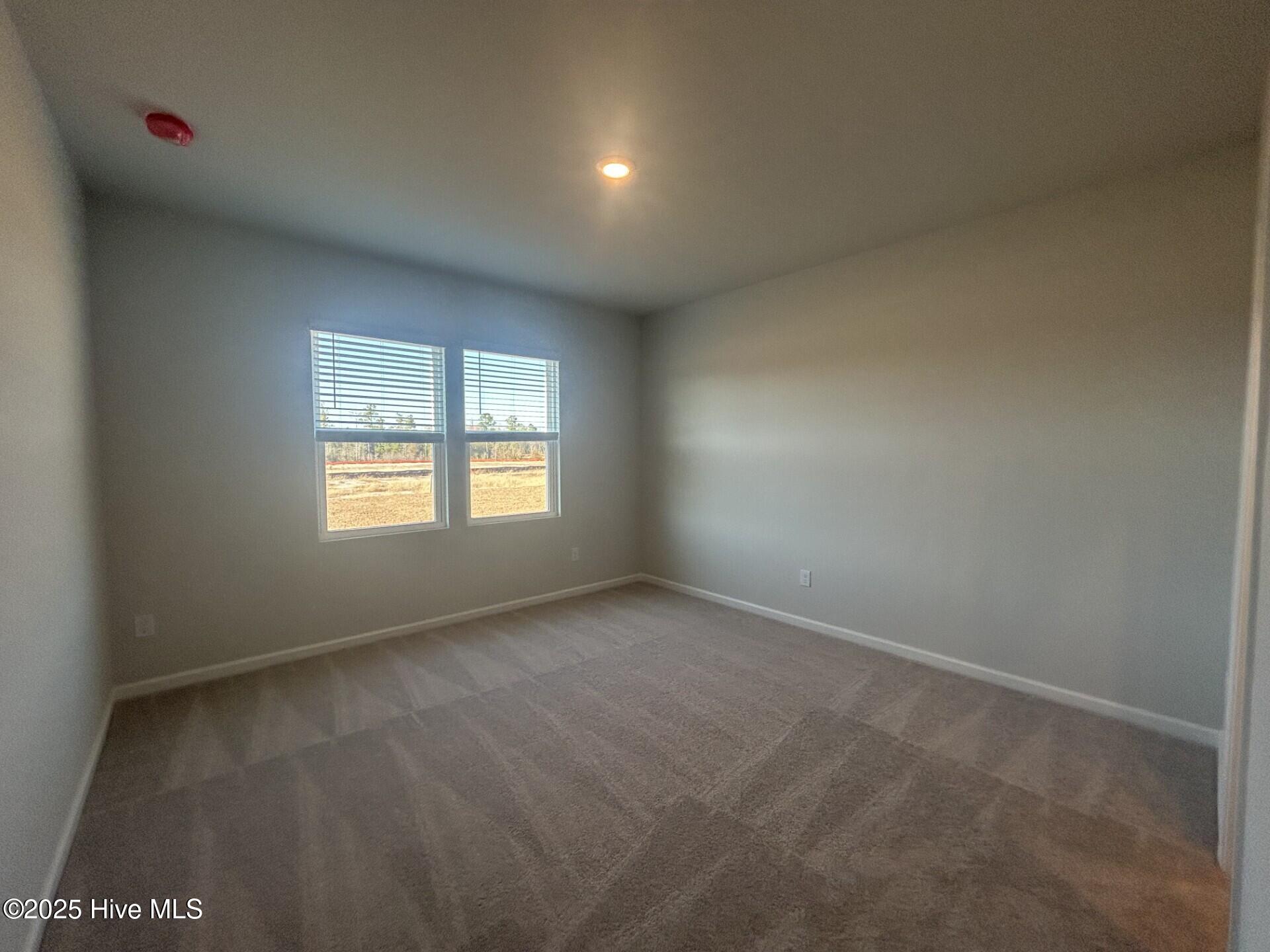 100535961 | Photo 11