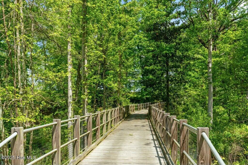 100498490 | Photo 75