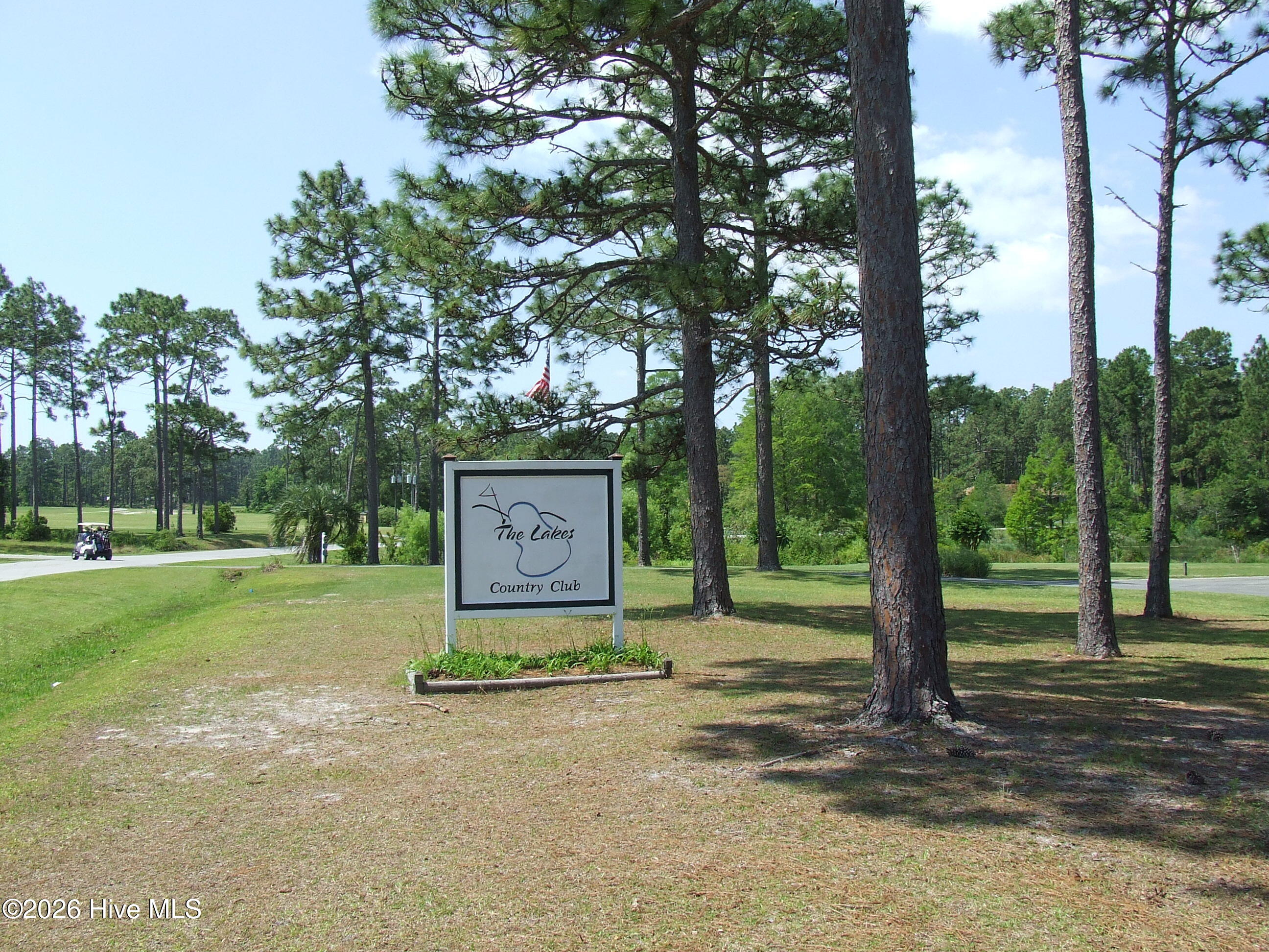 100570666 | Photo 31