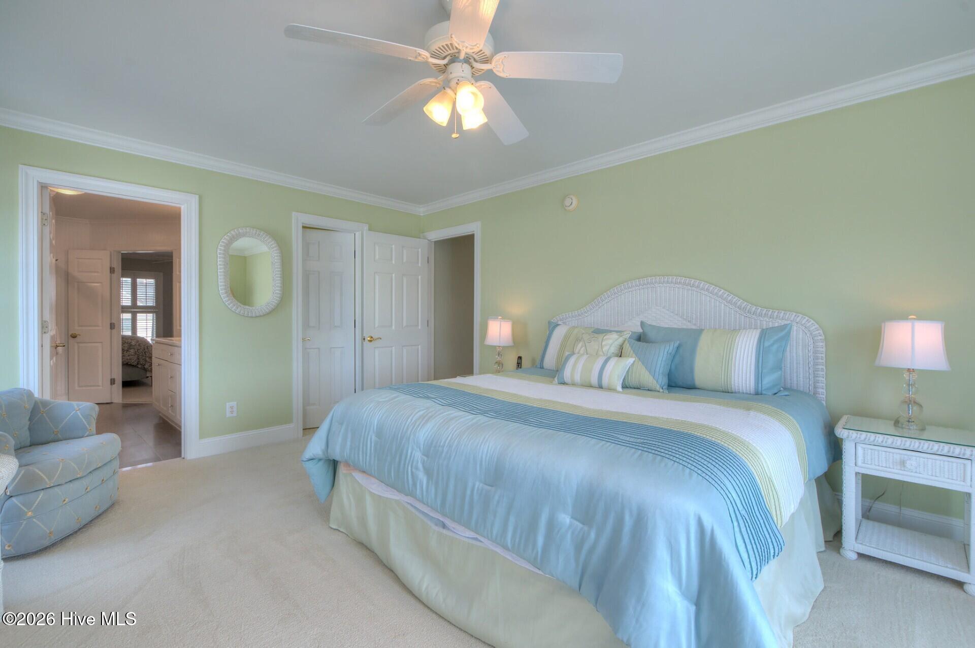 100553459 | Photo 61