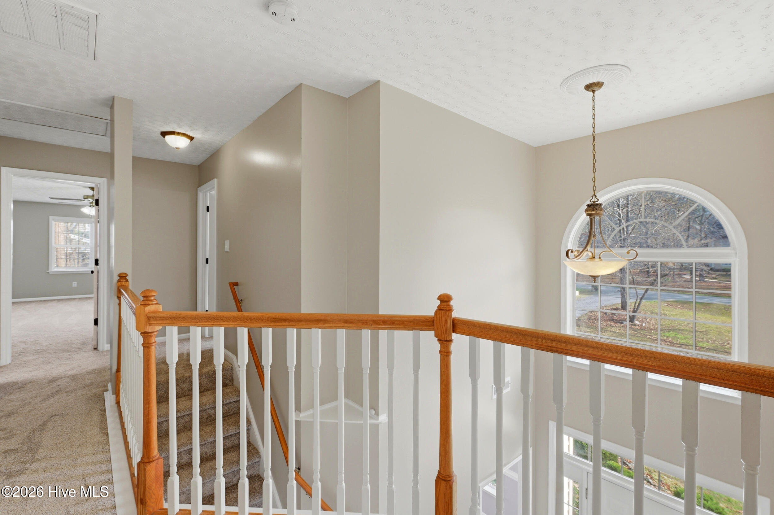 100559953 | Photo 21