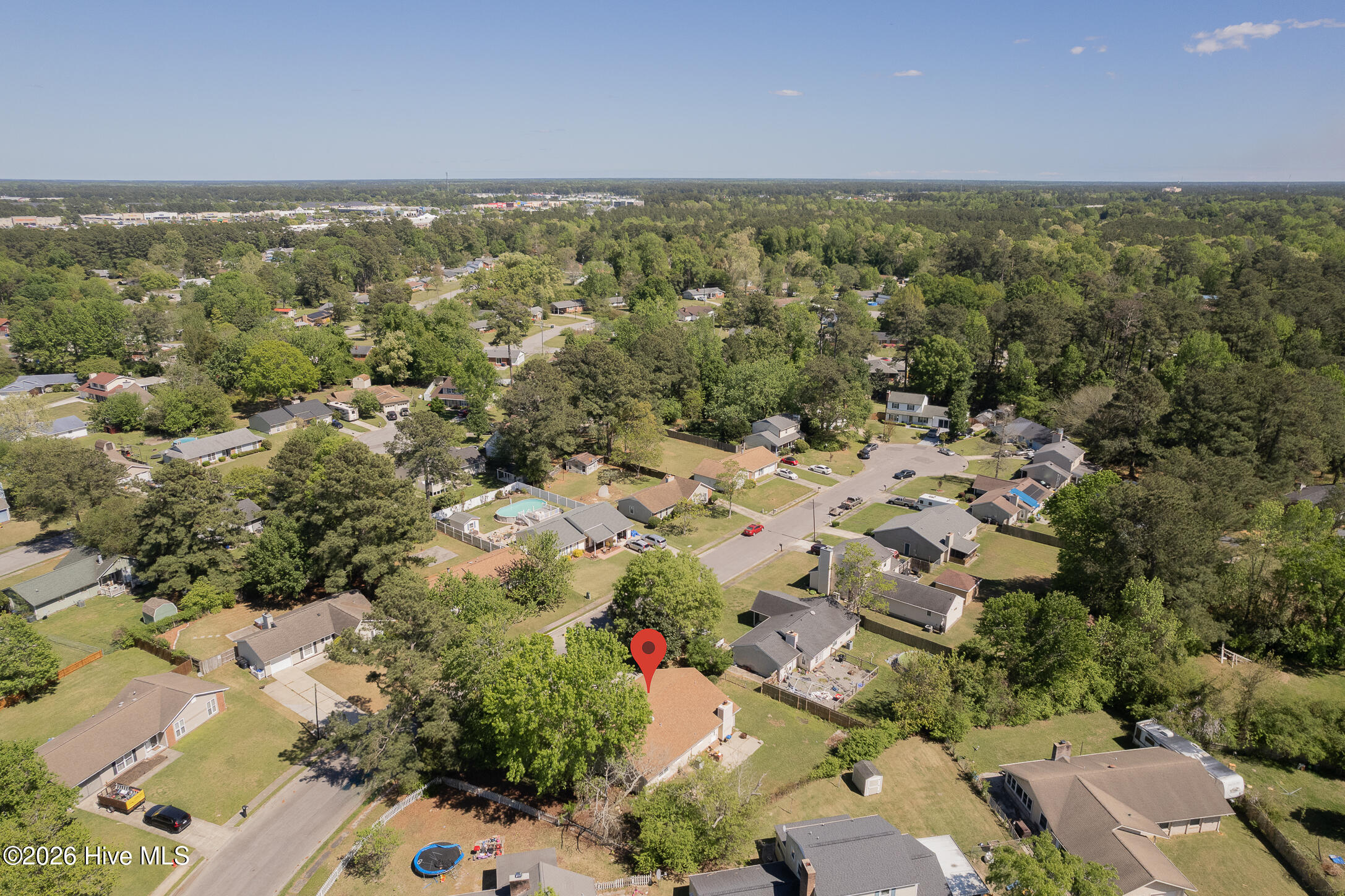 100566387 | Photo 43