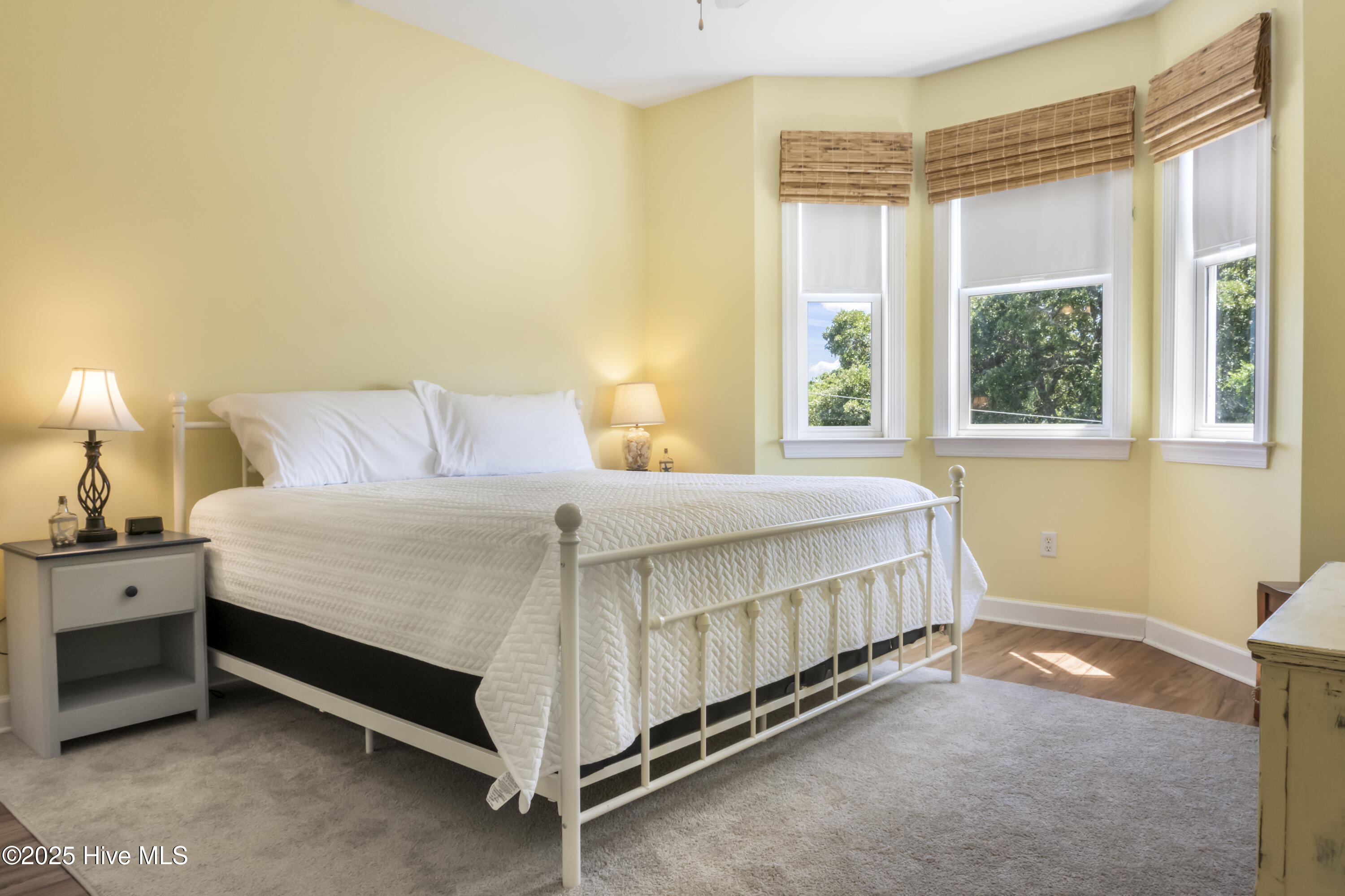 100526228 | Photo 12