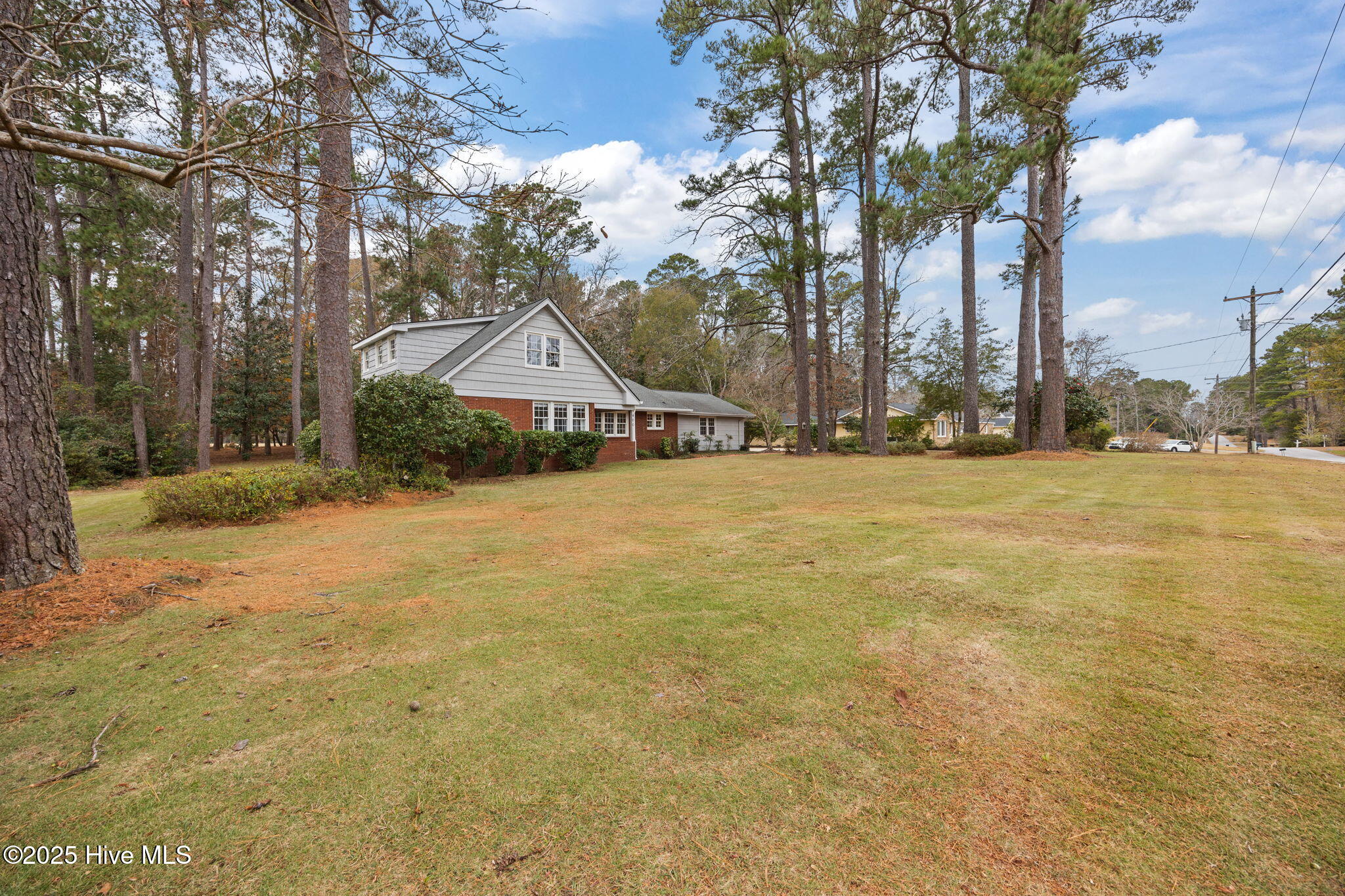 100544163 | Photo 38