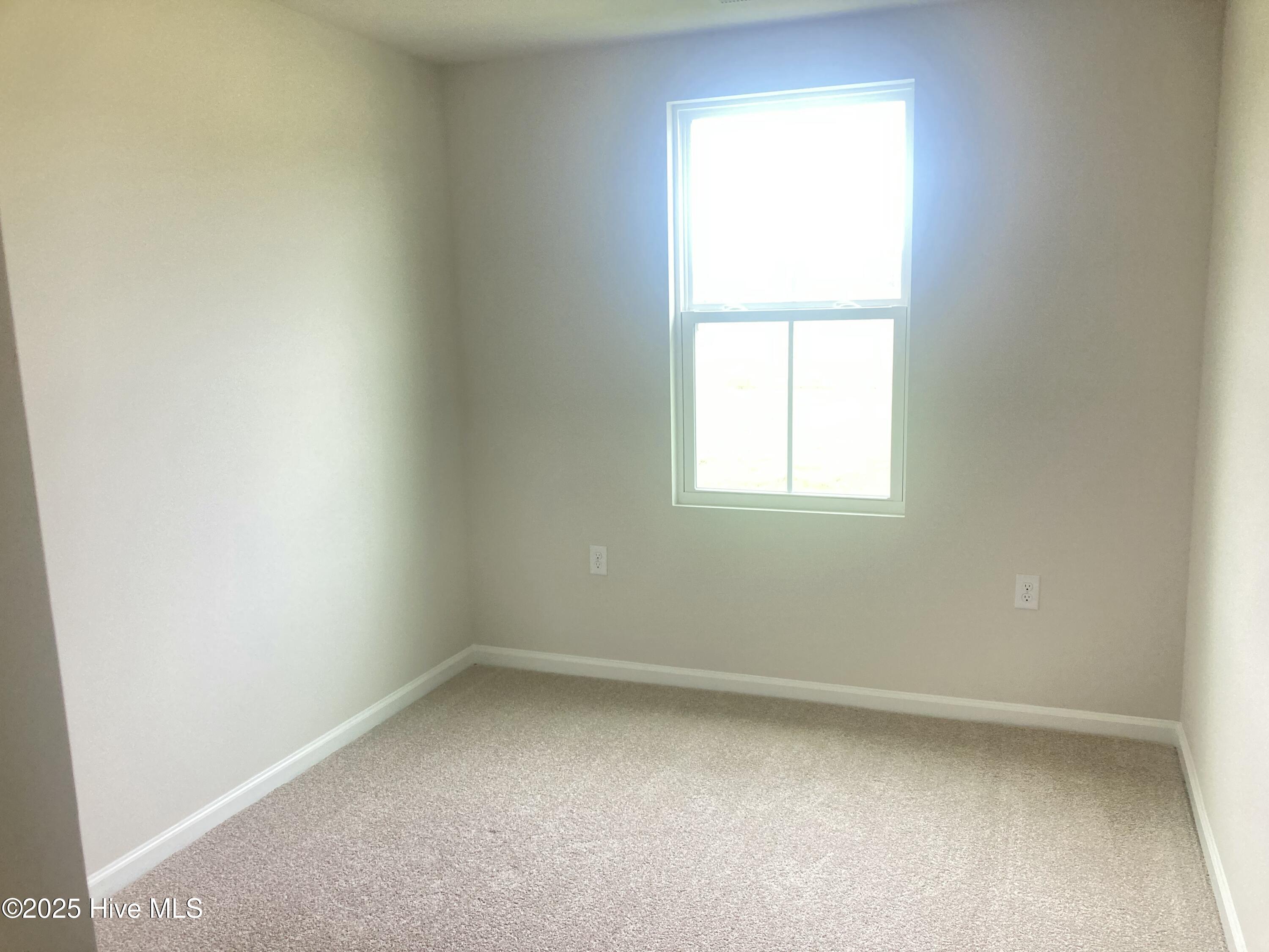 100525774 | Photo 23