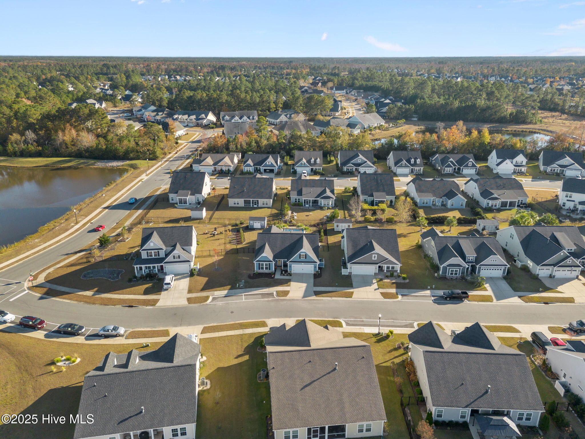 100544271 | Photo 48