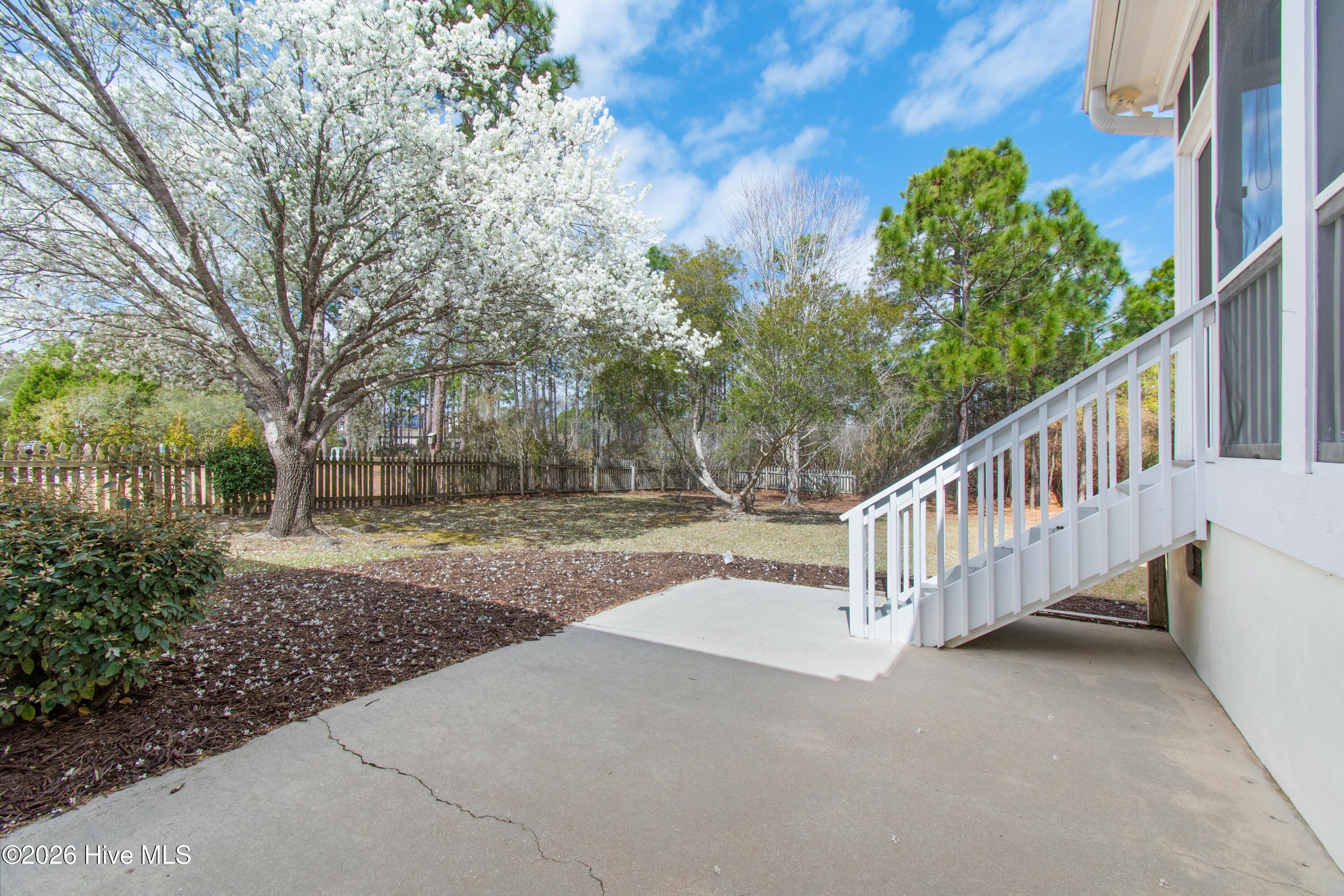 100561383 | Photo 40