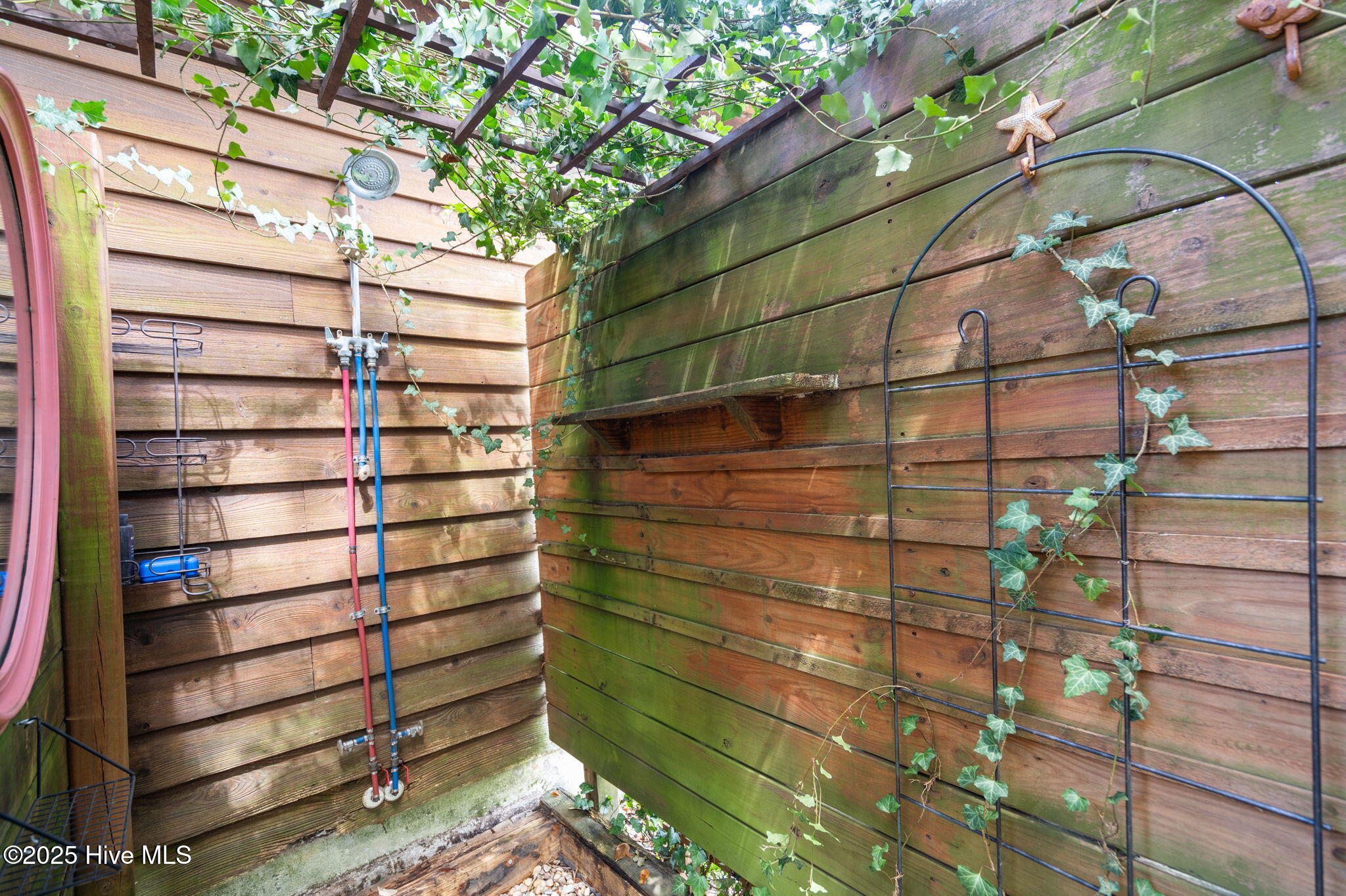 100522385 | Photo 39