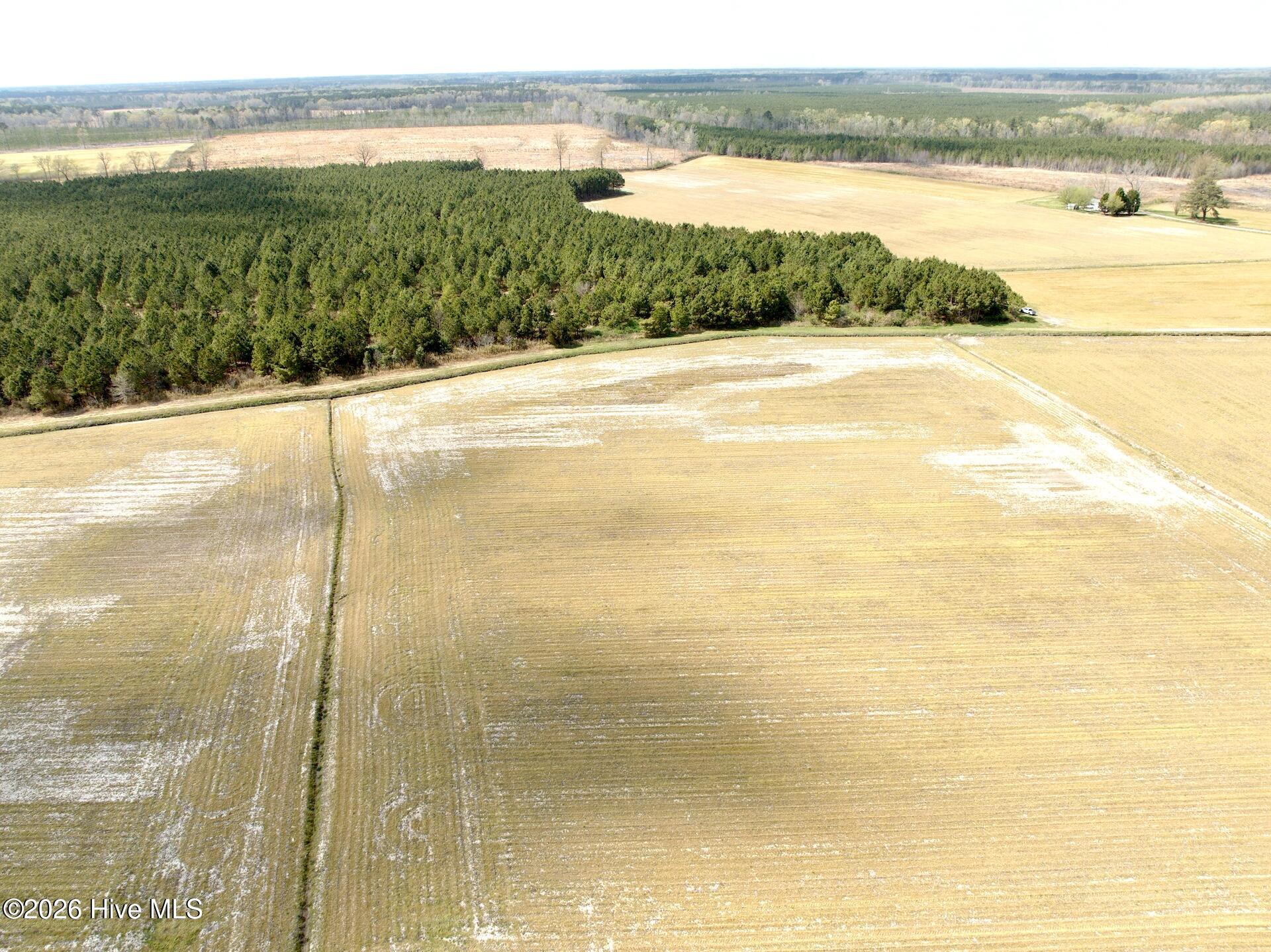 71 Jayne Point, Oriental, NC, 28571