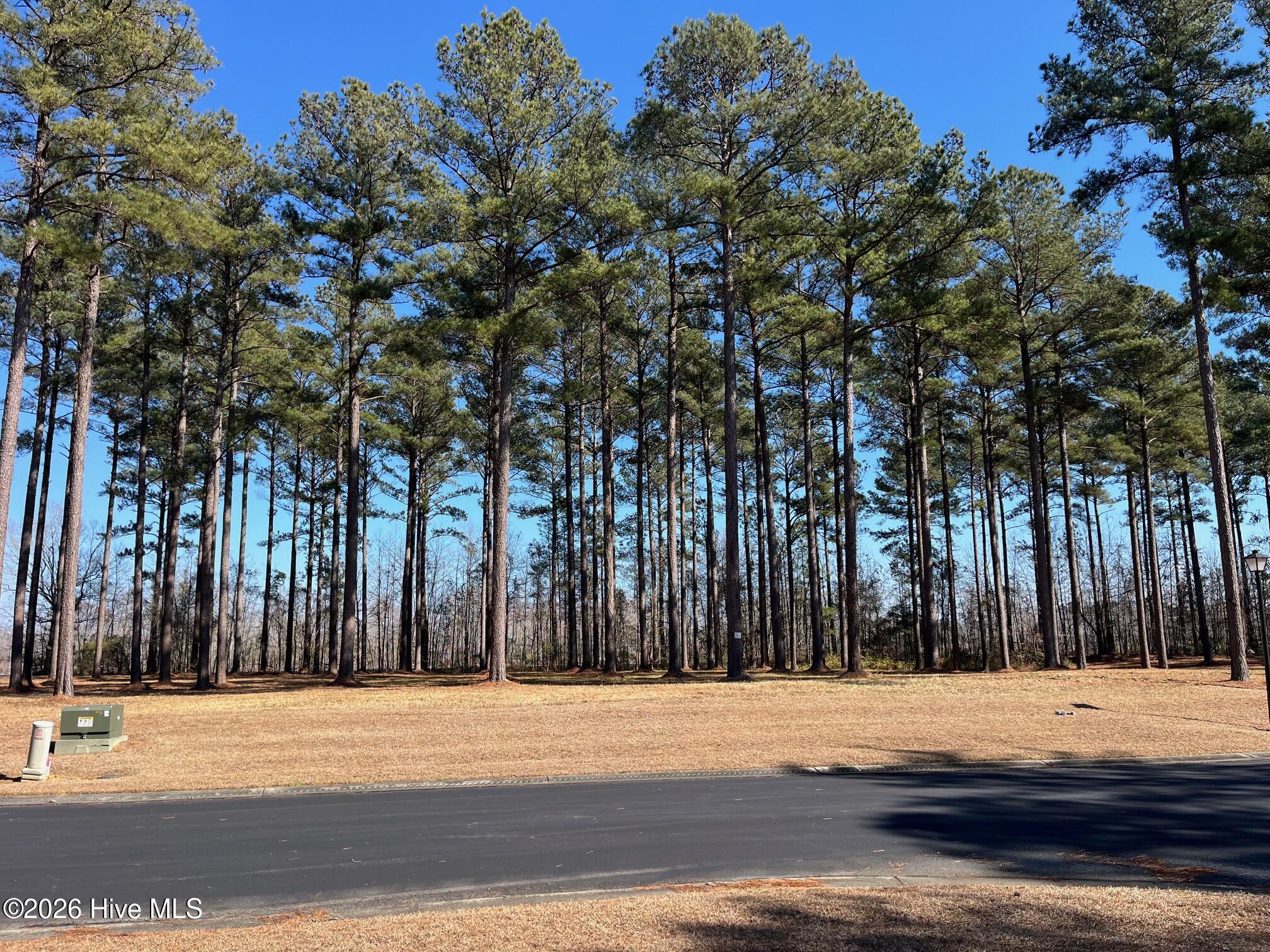 2 122 Bald Head Island Court S,Oriental