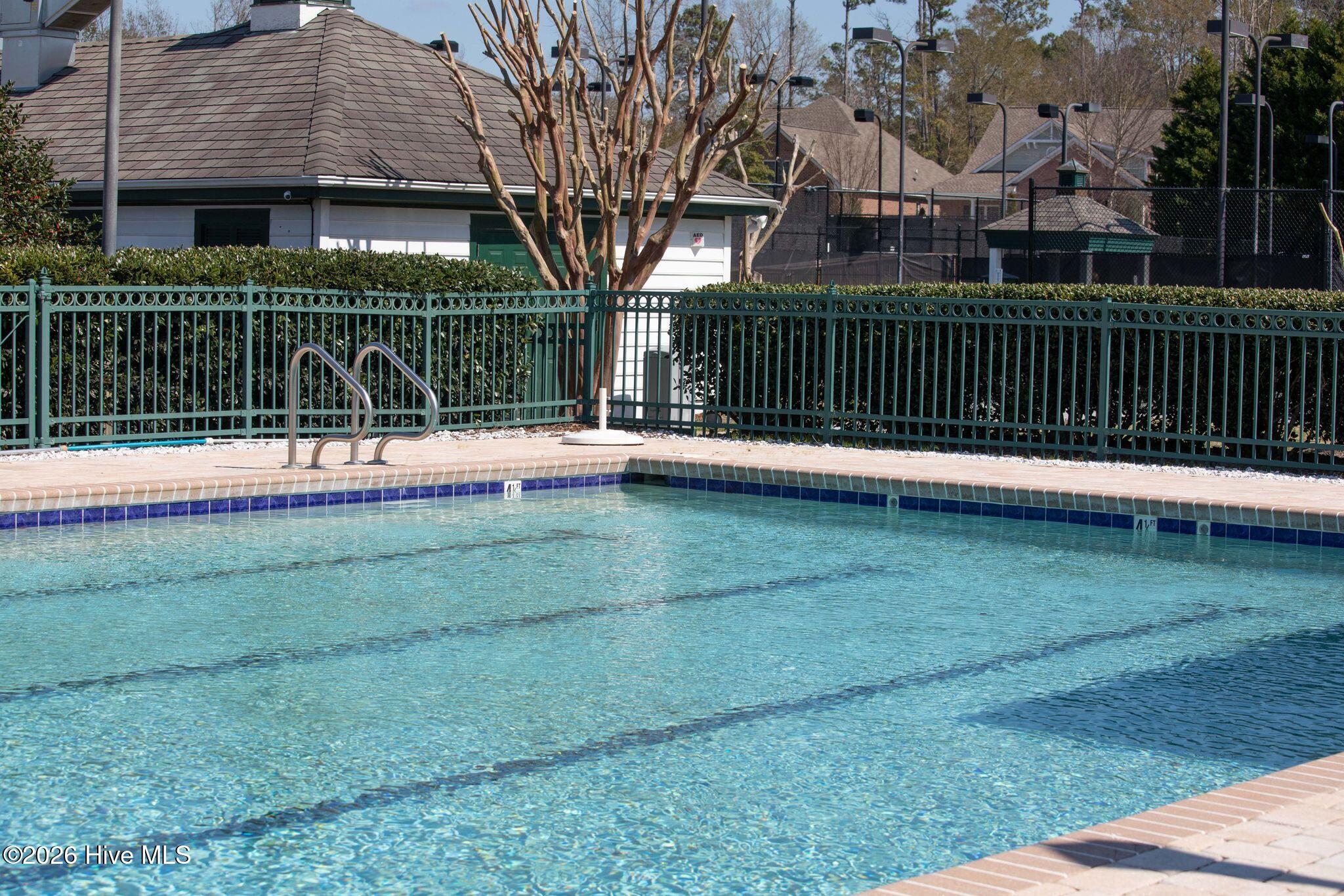 100567586 | Photo 50