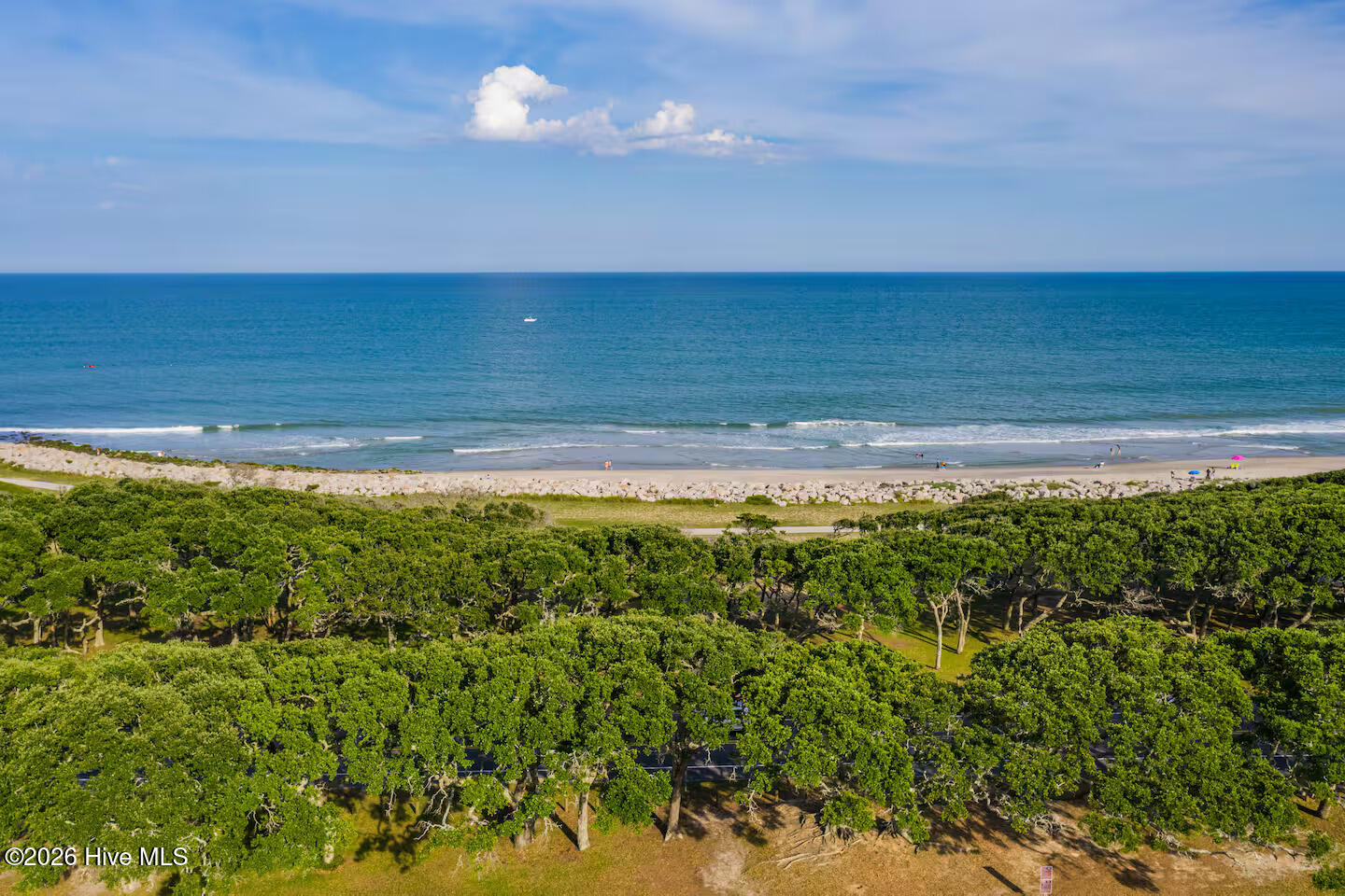 100555163 | Photo 66