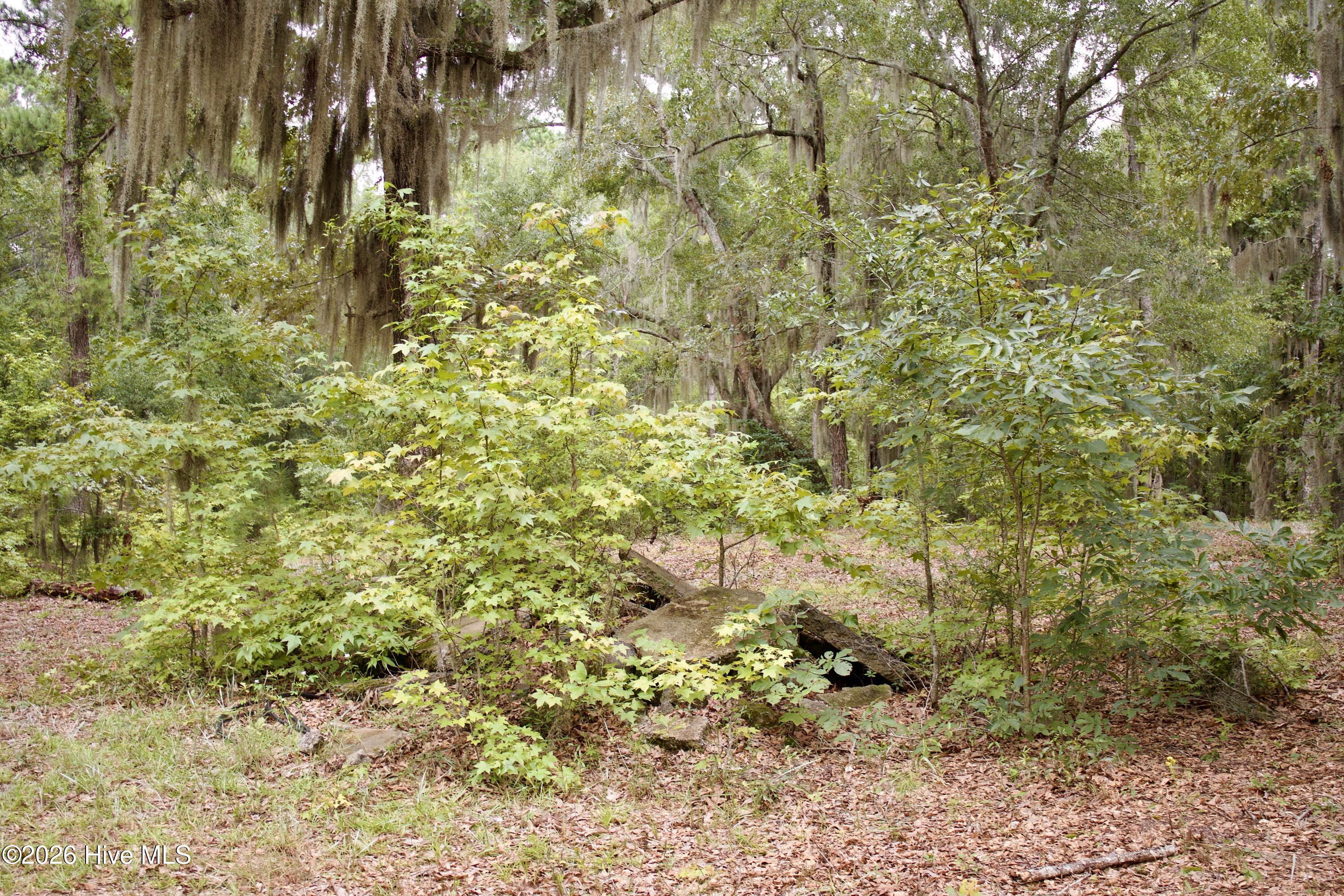 385 Sand Ridge Road,New Bern