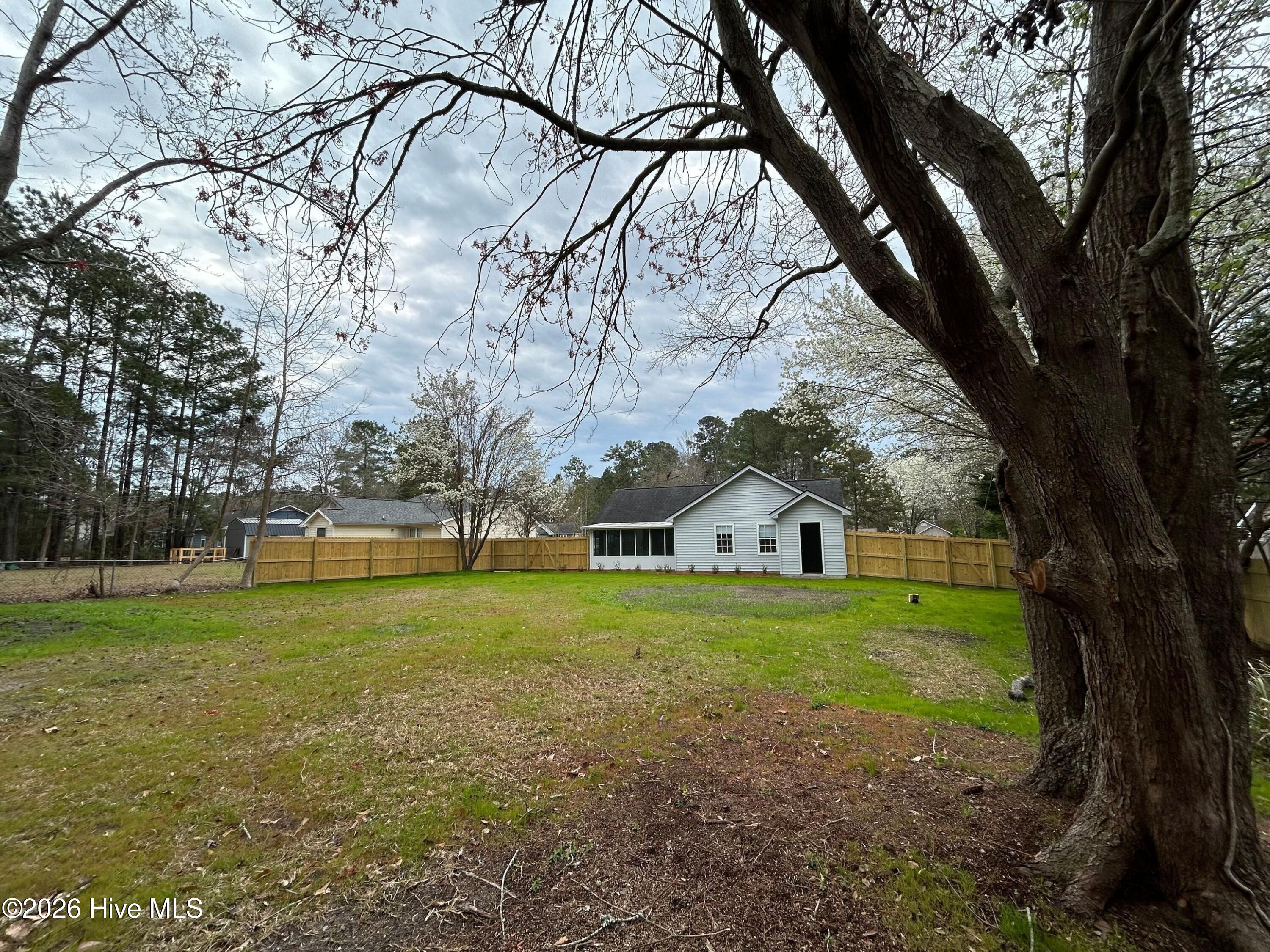 100559934 | Photo 25