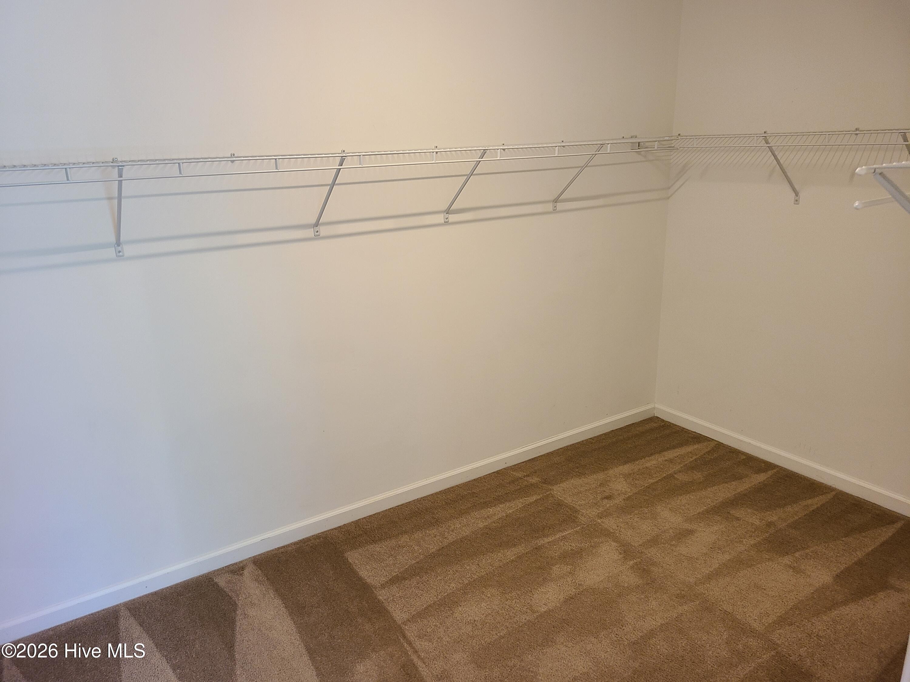 100548232 | Photo 13