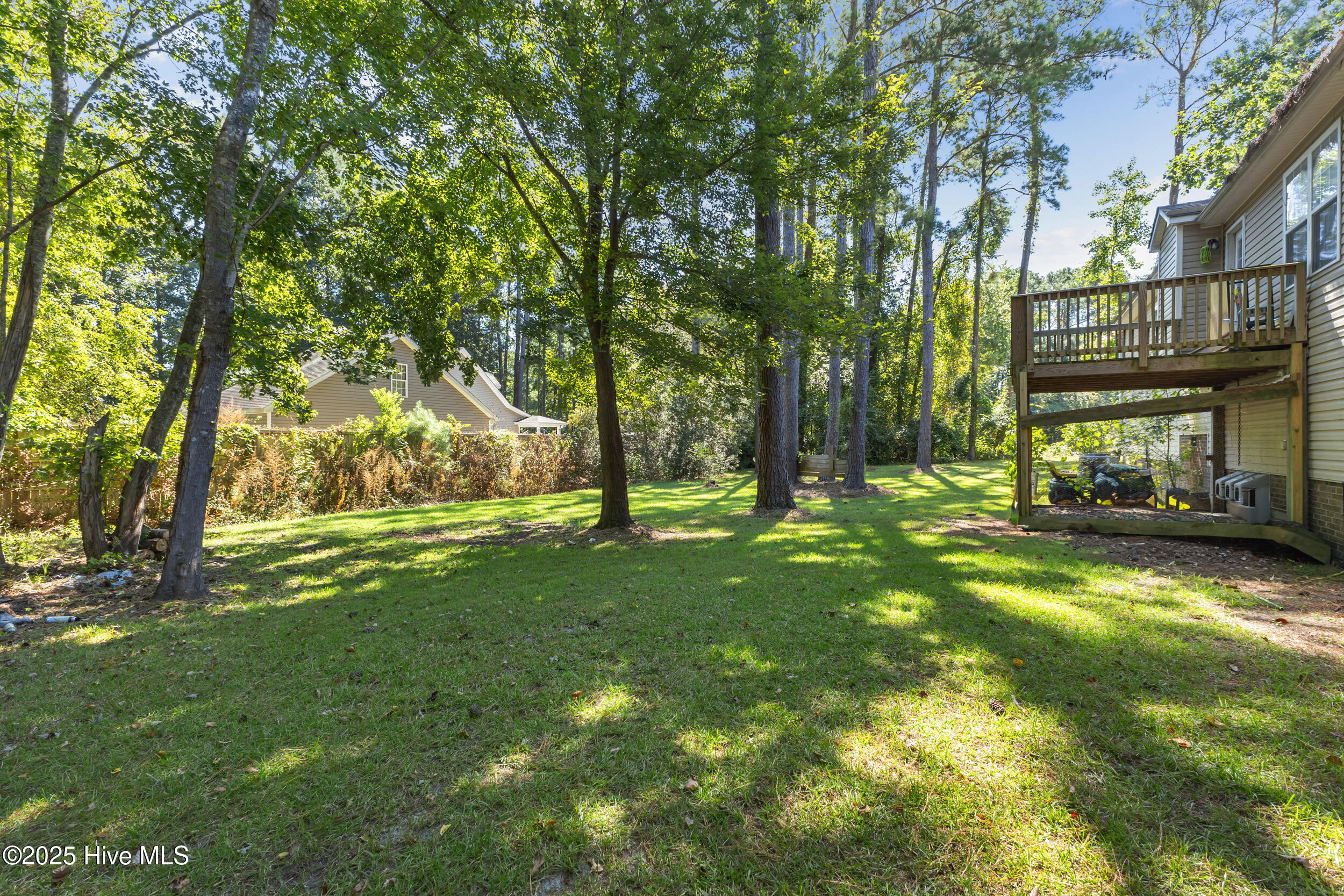 102 Lunington Mill Circle, Burgaw, NC 28425 – photo 23: Back Yard