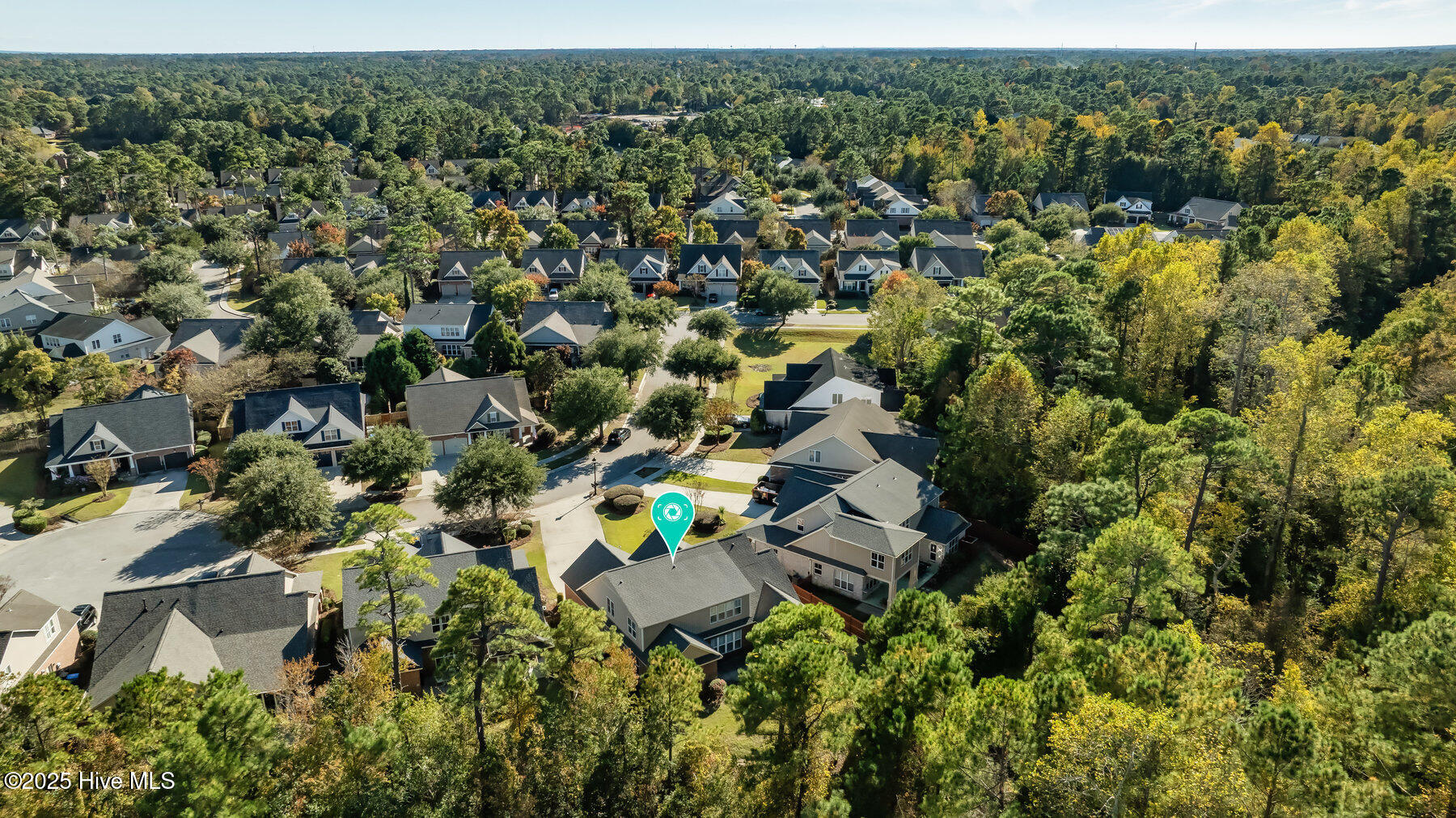 100540144 | Photo 55