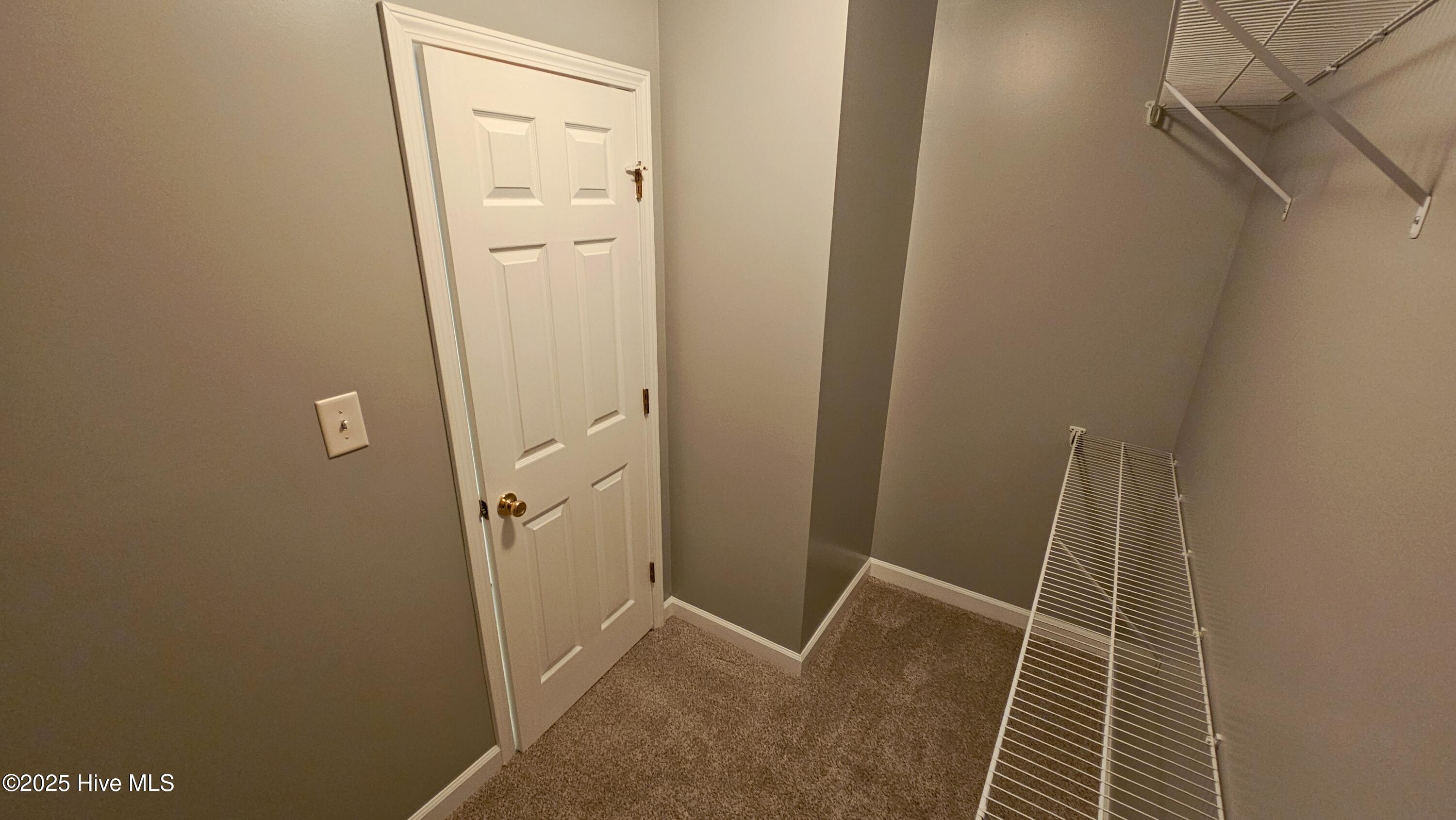 100538021 | Photo 24