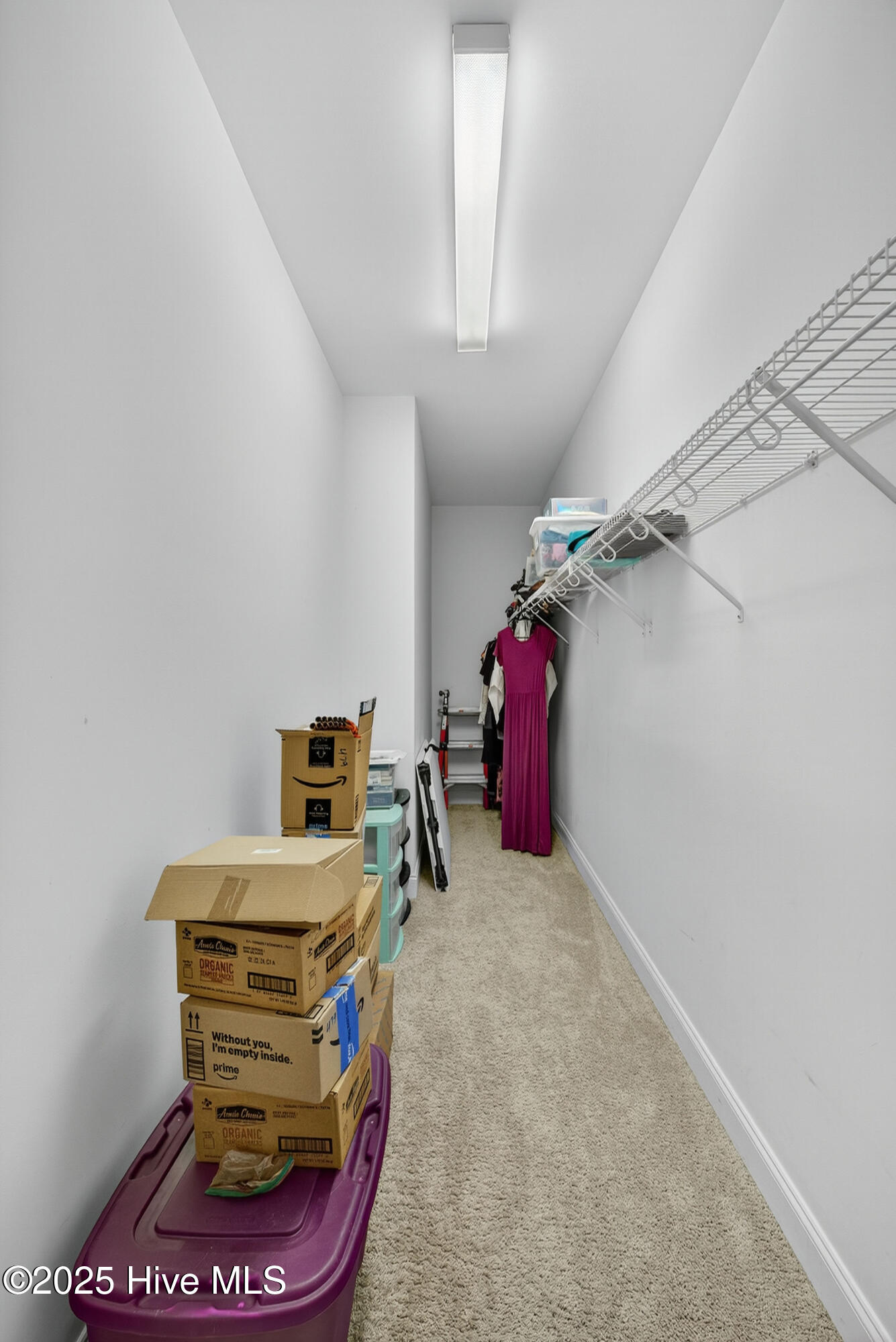 100541825 | Photo 31