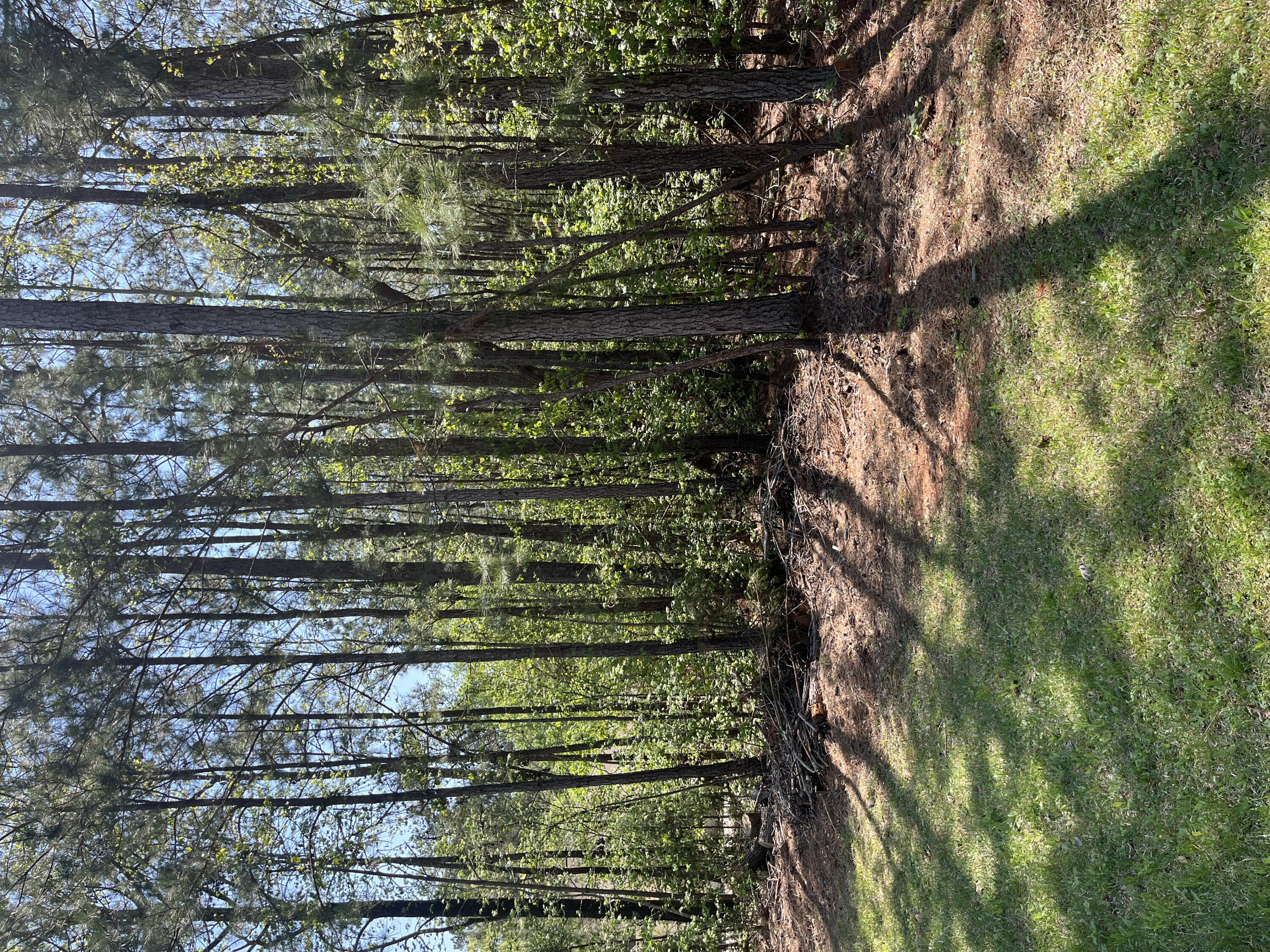 L14 B39 Antioch Drive, Mccormick, SC, 29835