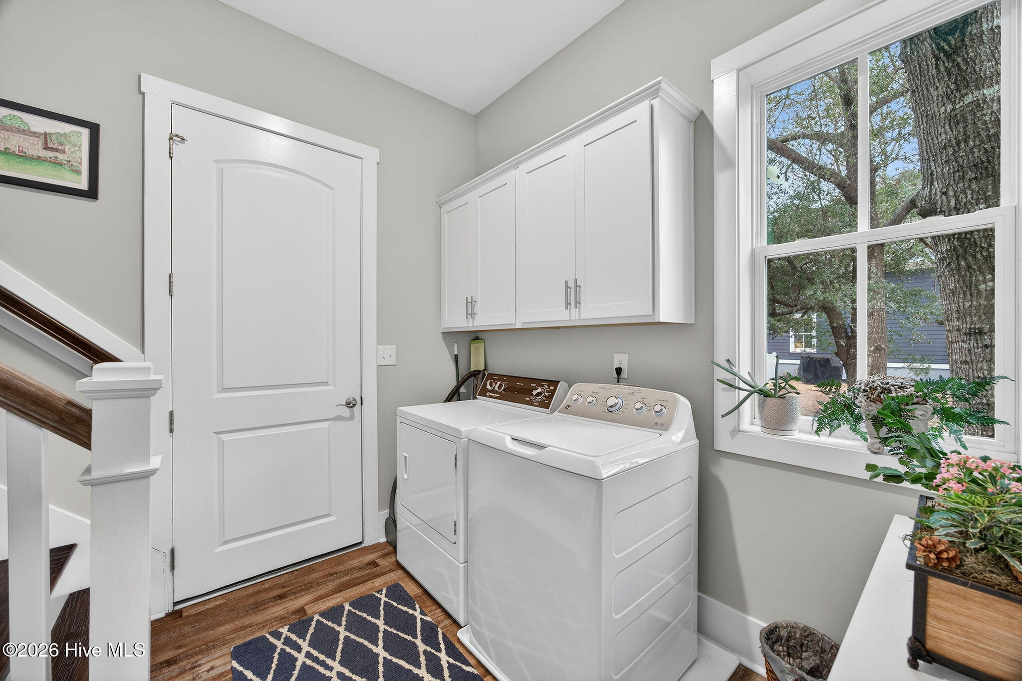 100552551 | Photo 26