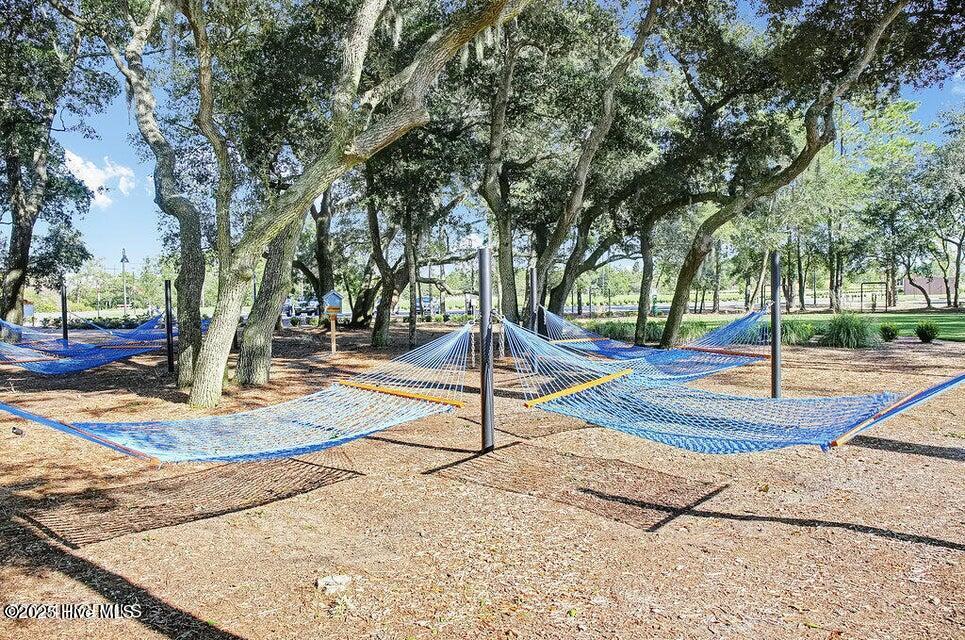 100546081 | Photo 33