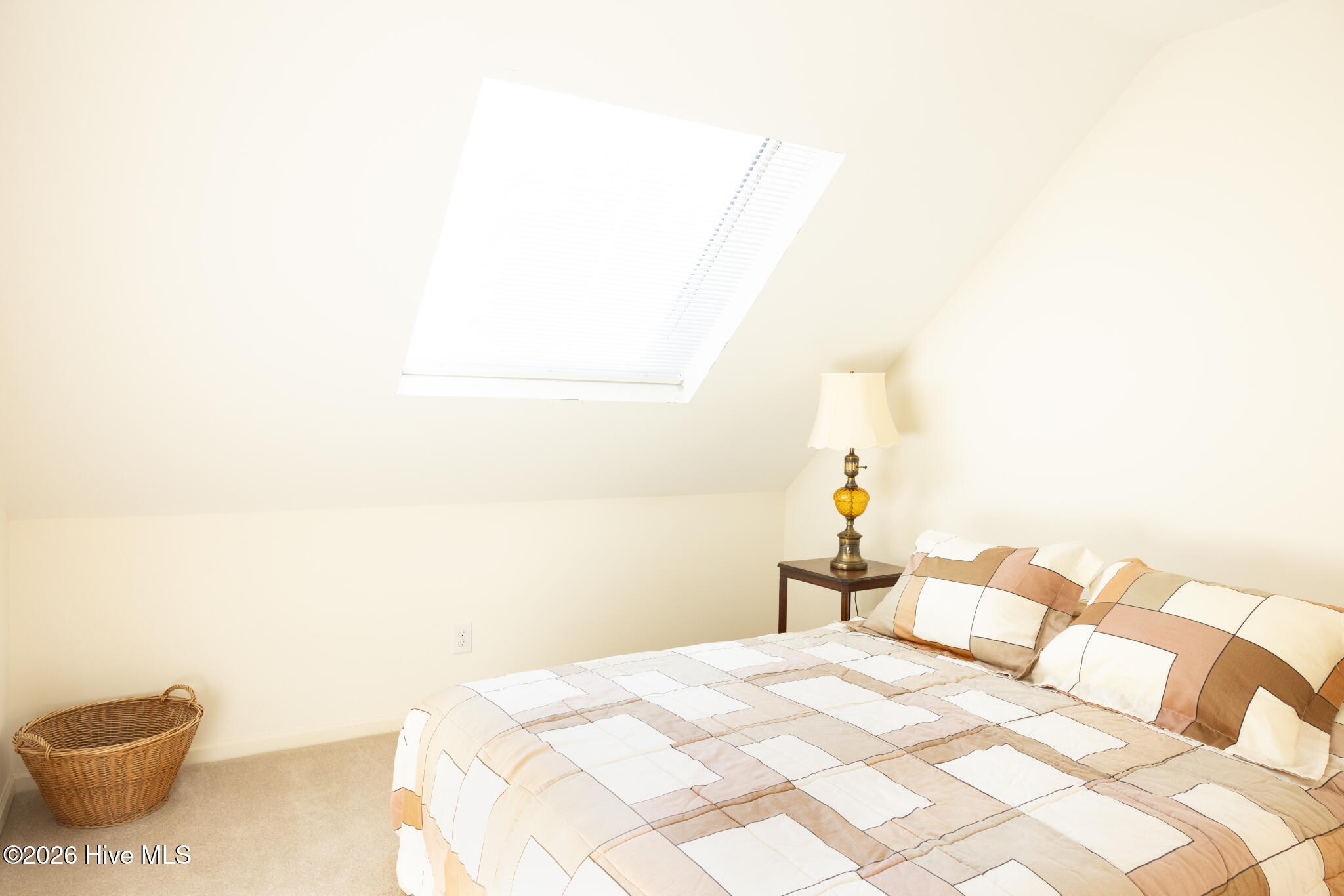 100547125 | Photo 34