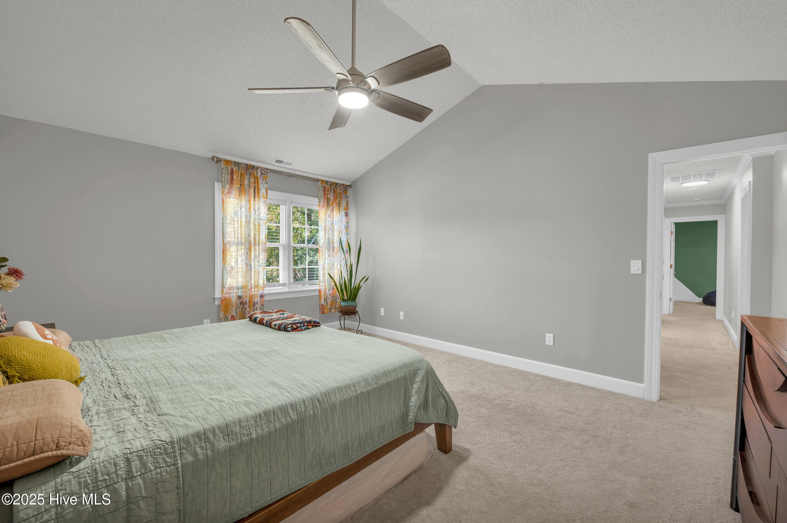 100537583 | Photo 23