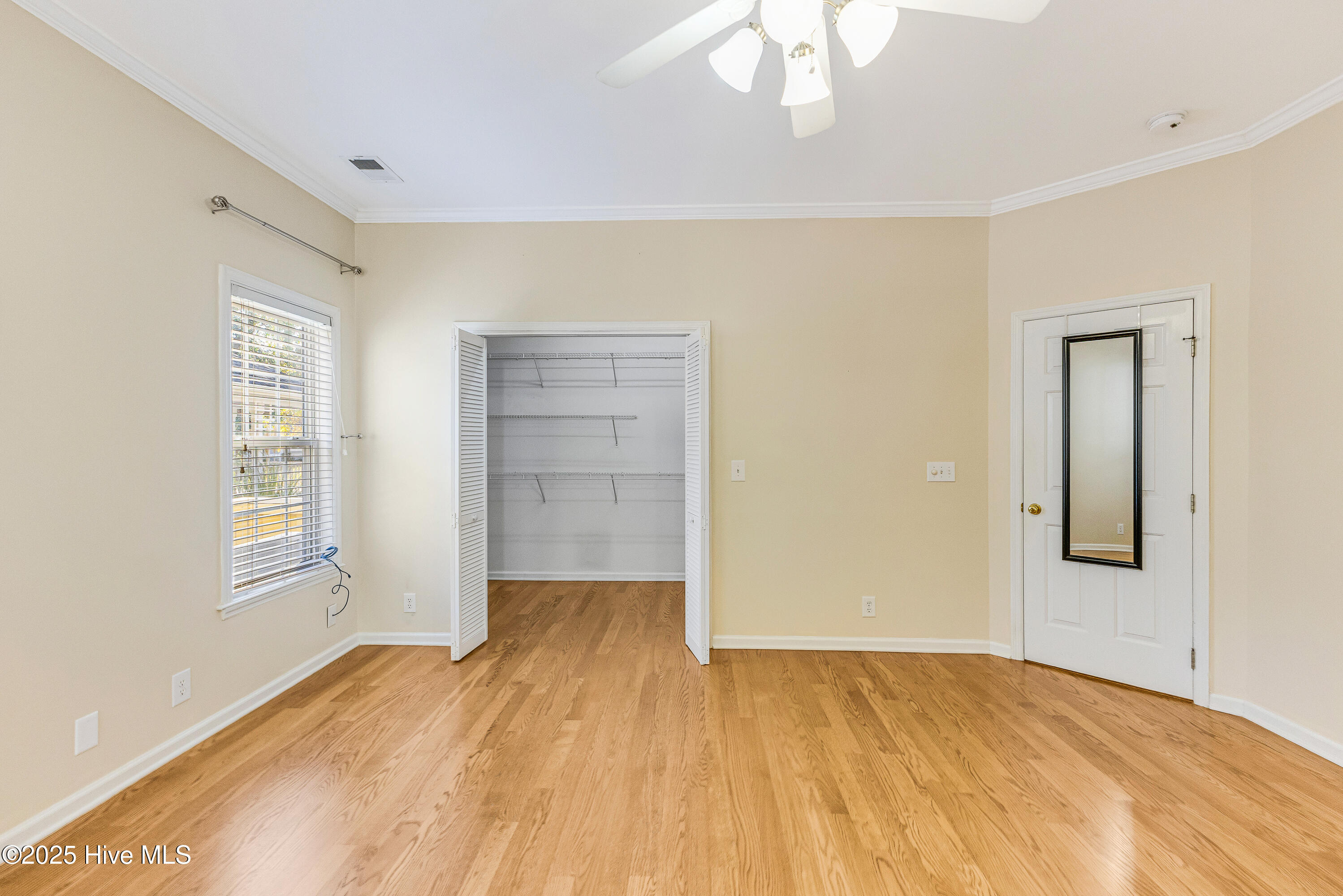 100540524 | Photo 10