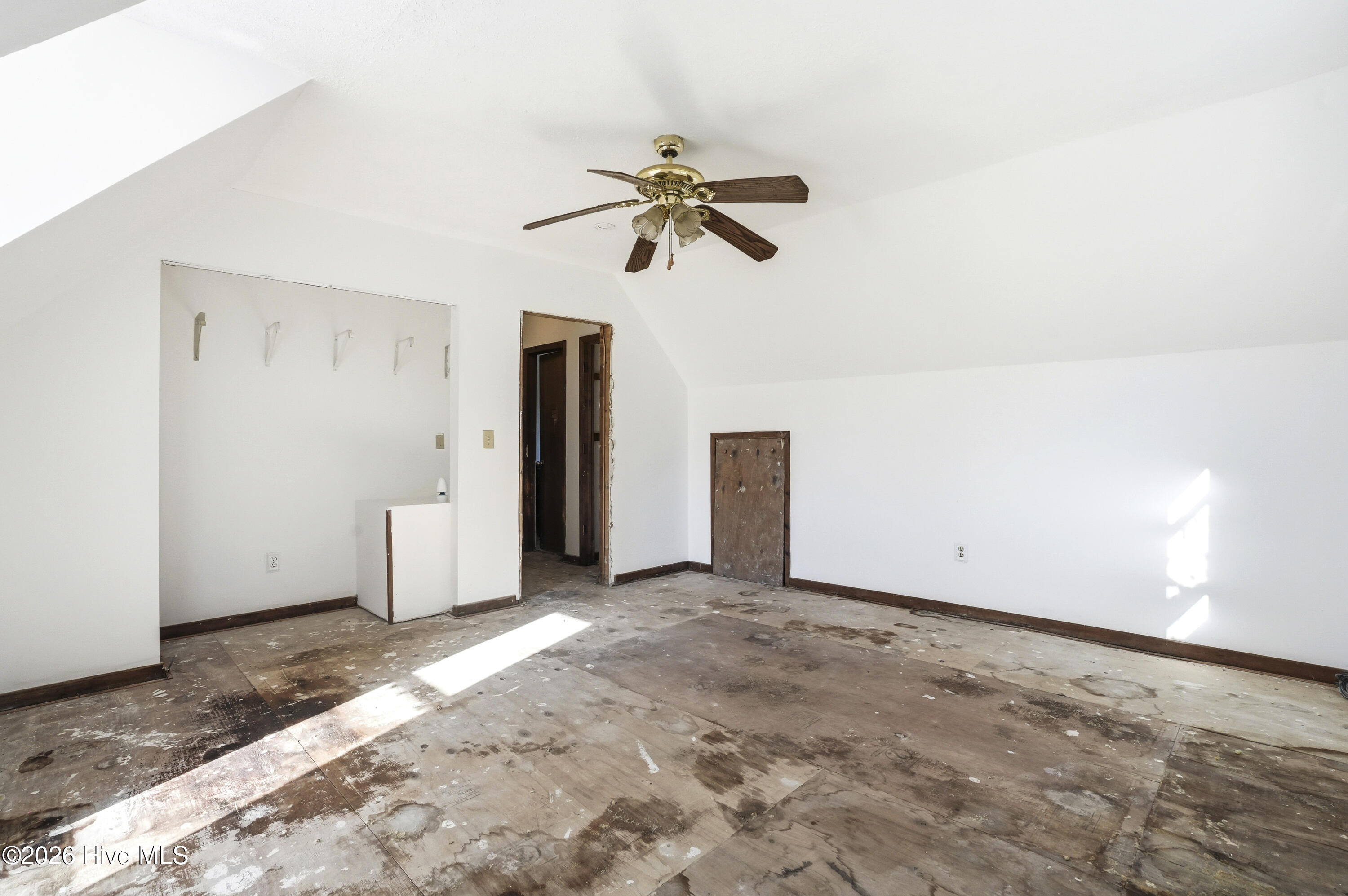 100568902 | Photo 32