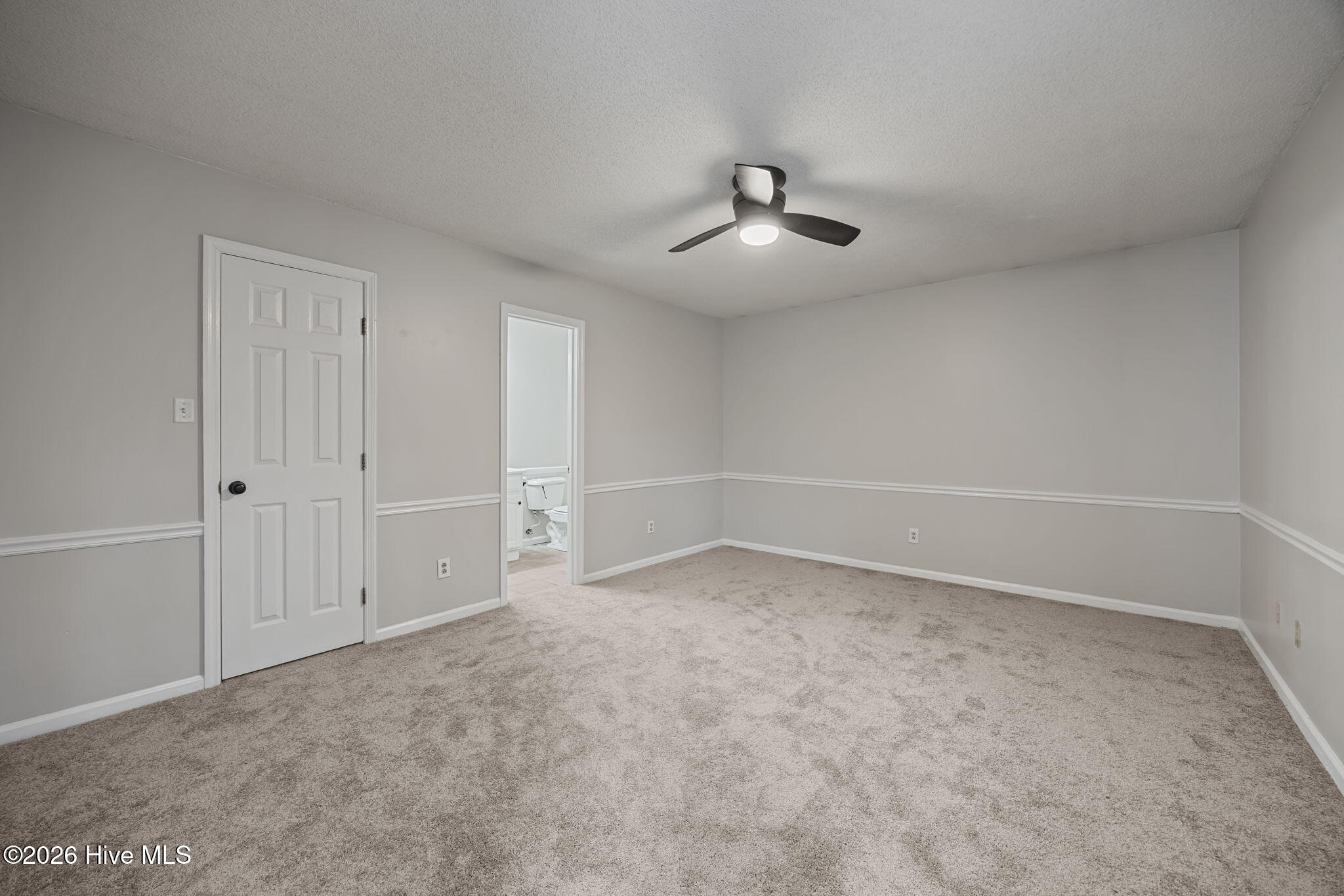 100553131 | Photo 19