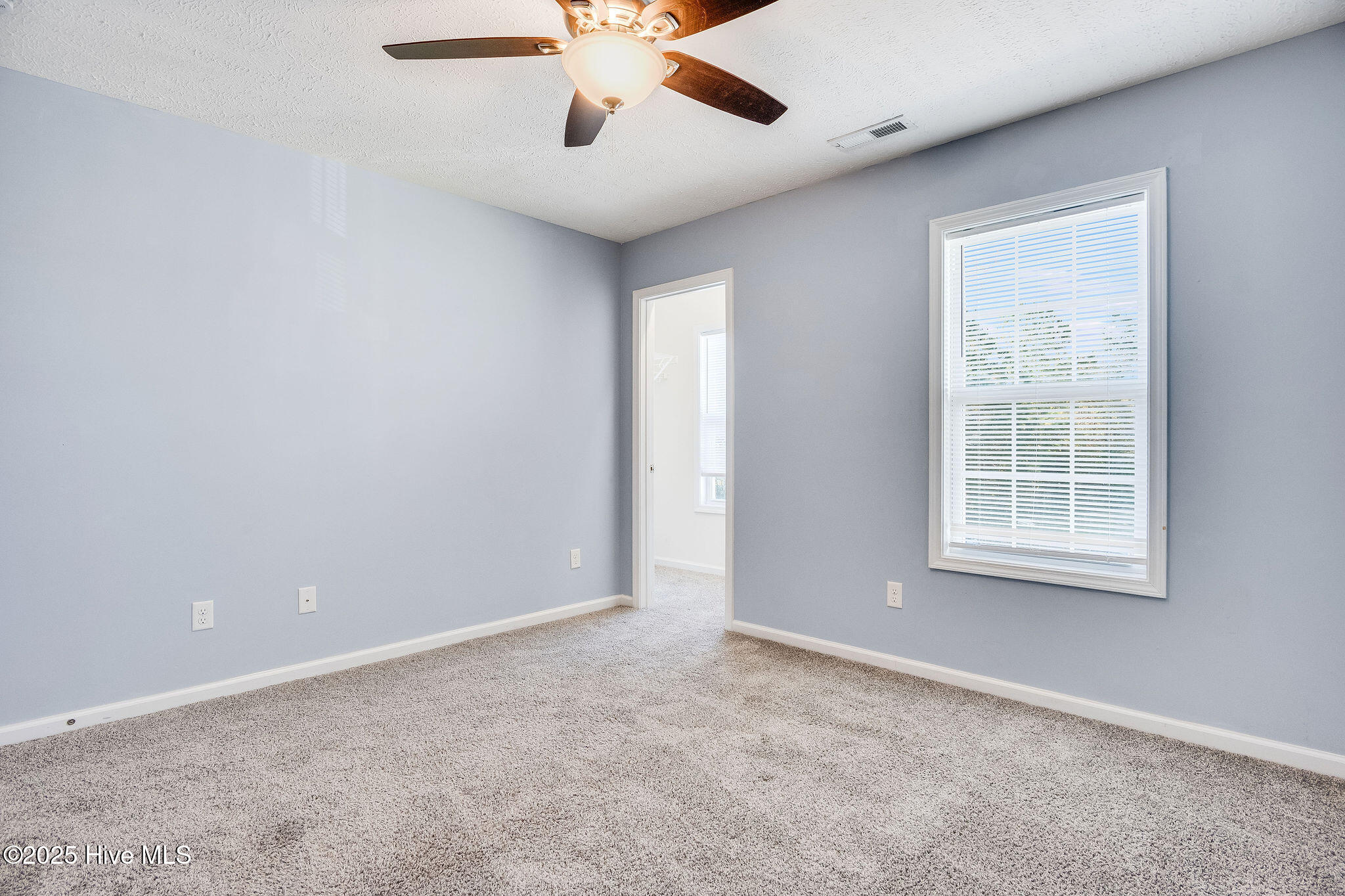 100541408 | Photo 38