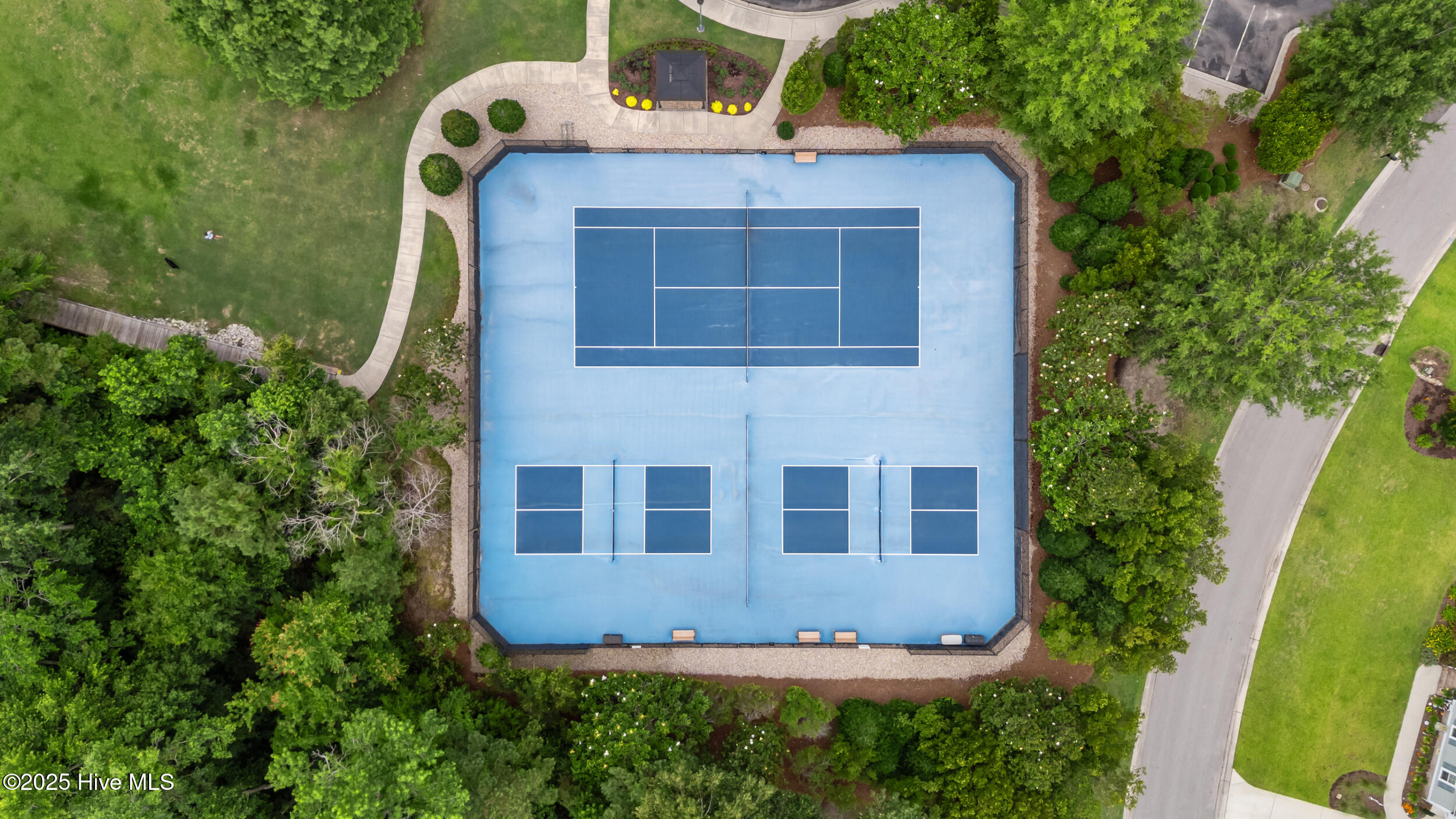 100515127 | Photo 11