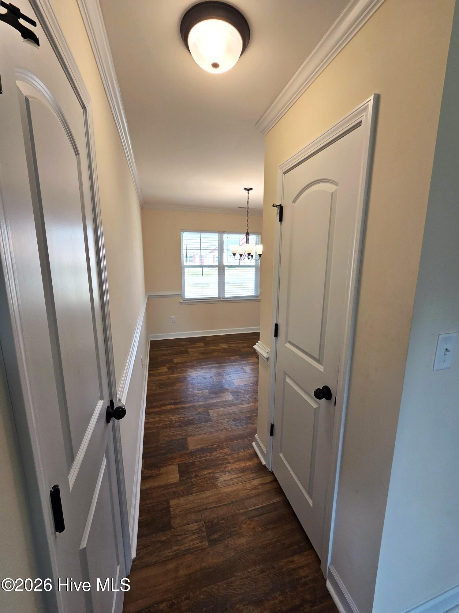 100527843 | Photo 30