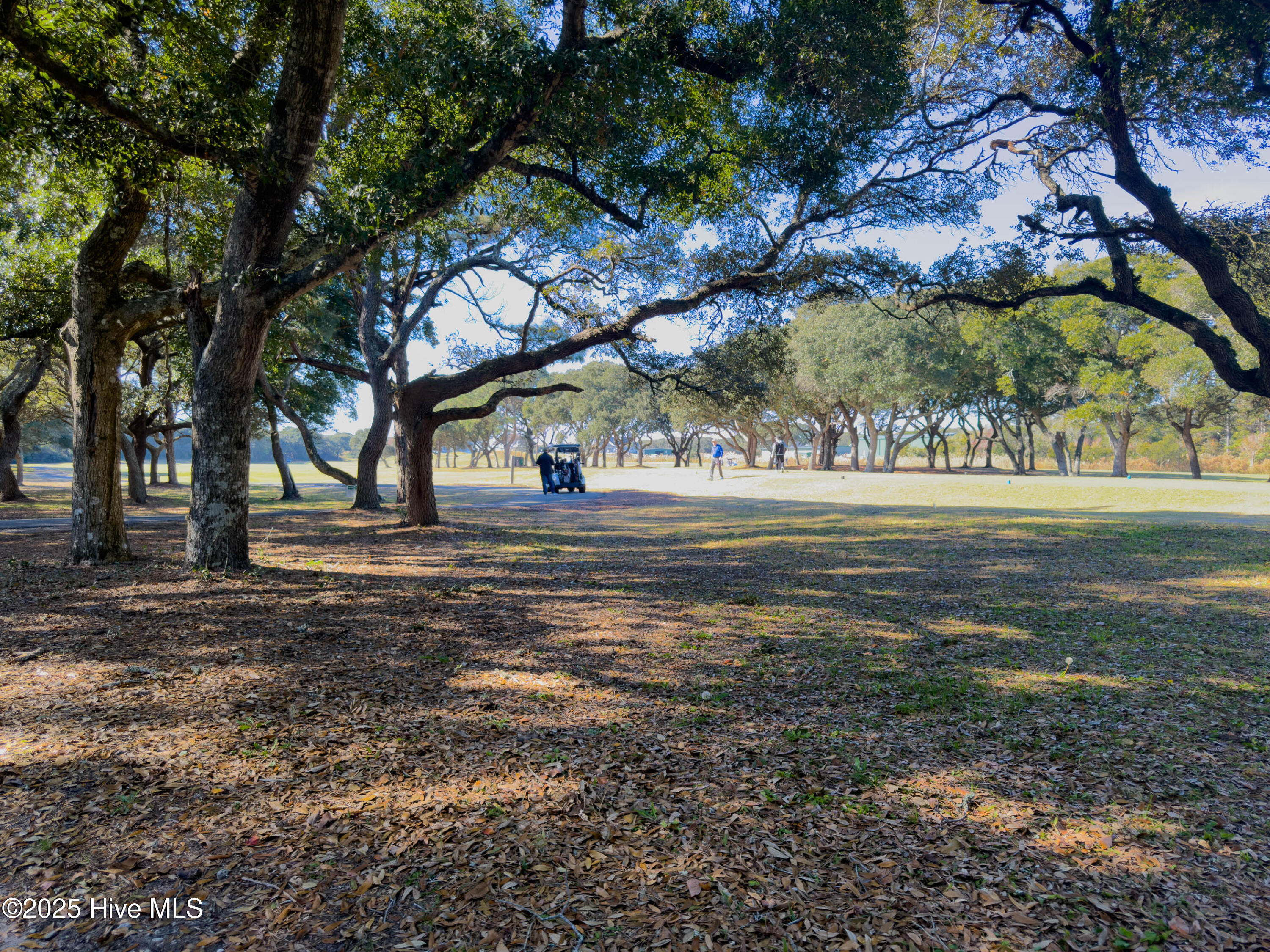 100542909 | Photo 59