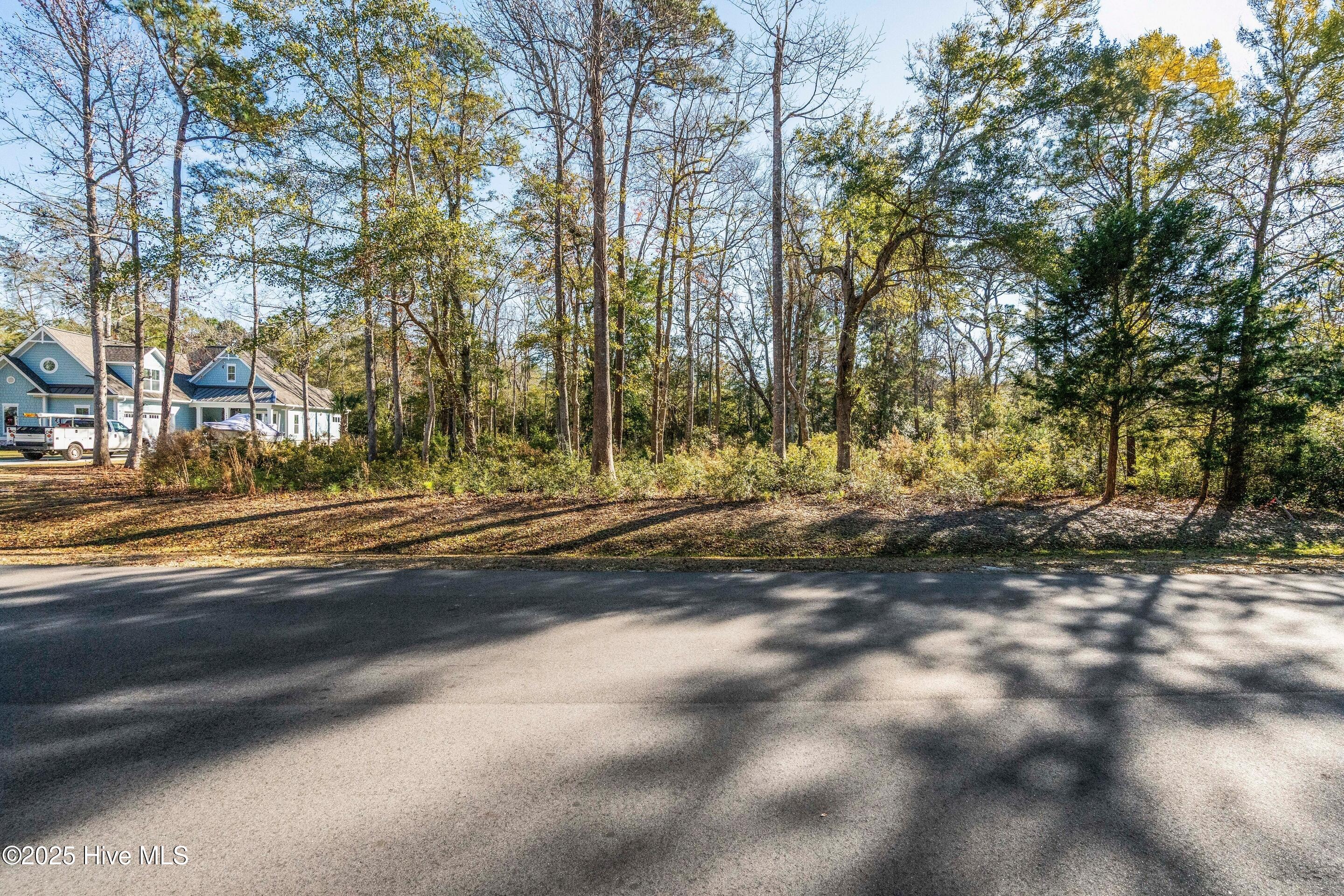 1872 Healing Water Lane SW, Supply, NC, 28462