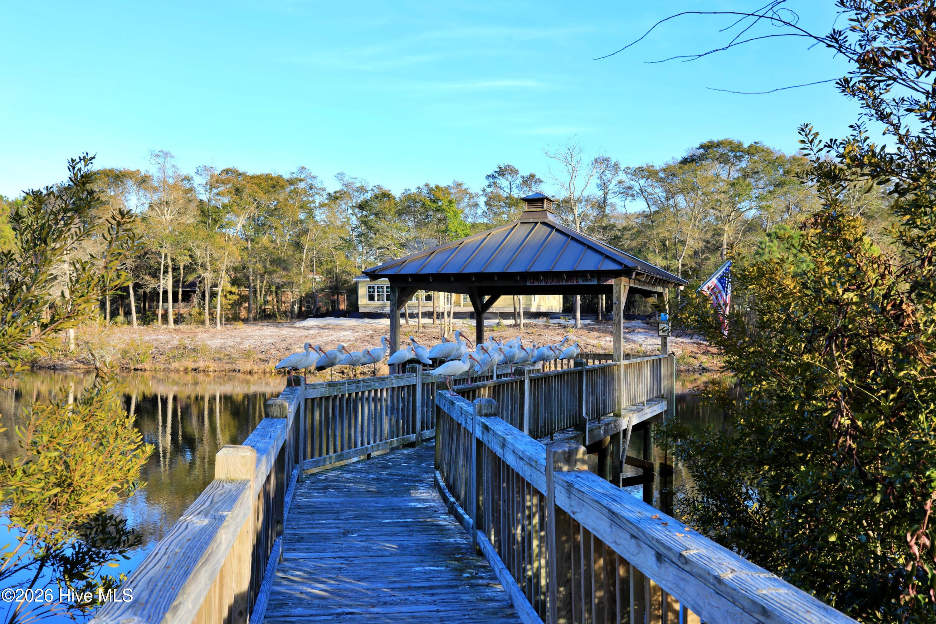 100554715 | Photo 10