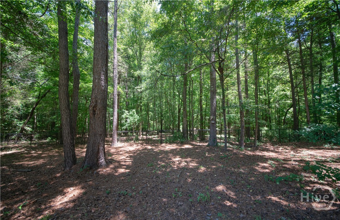 Wooded portion of Back Yard