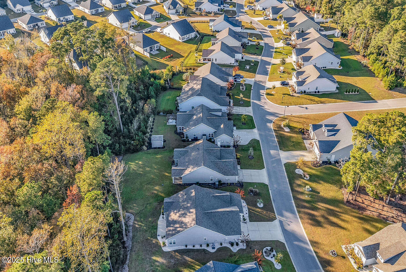 100539654 | Photo 60