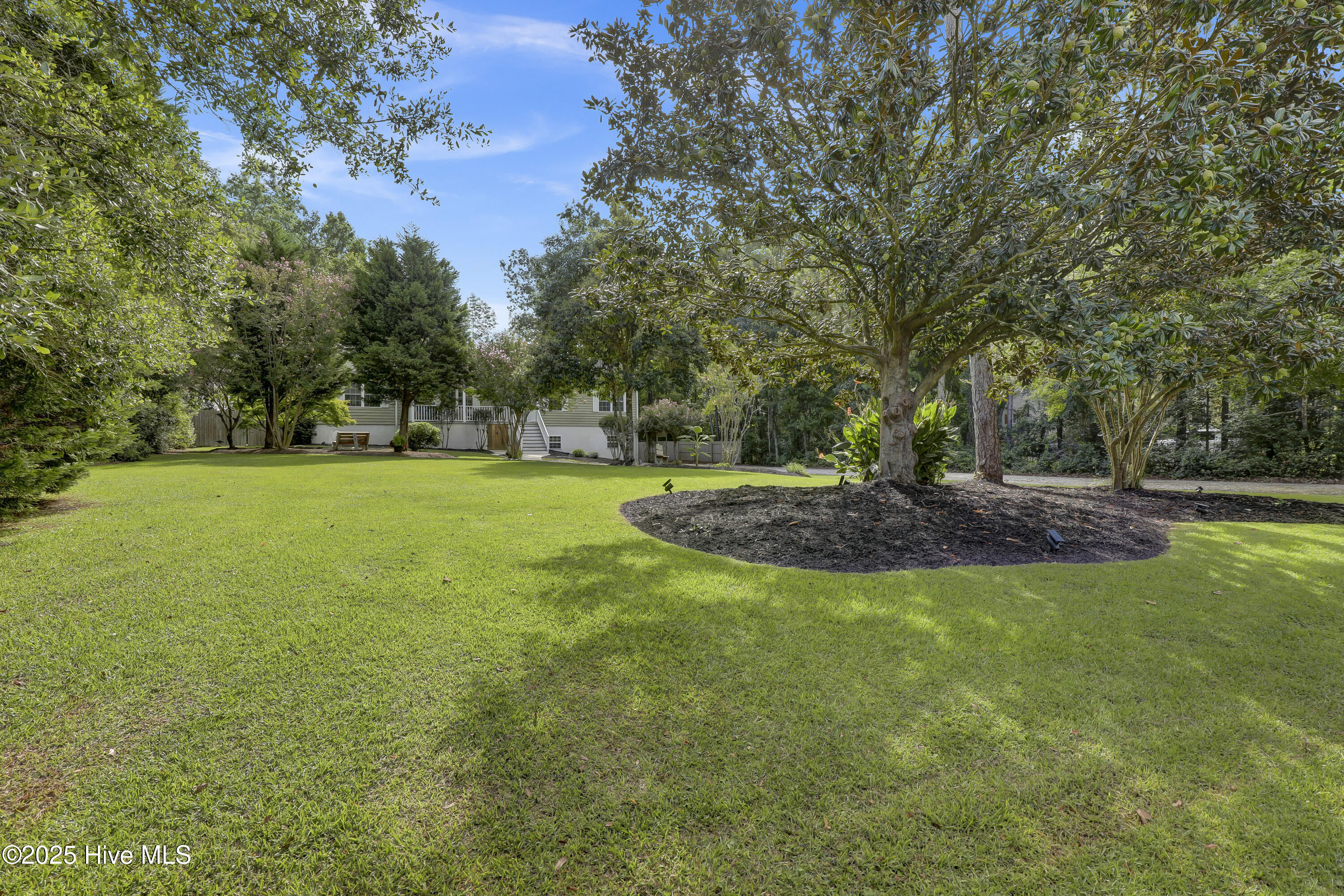 100525389 | Photo 44