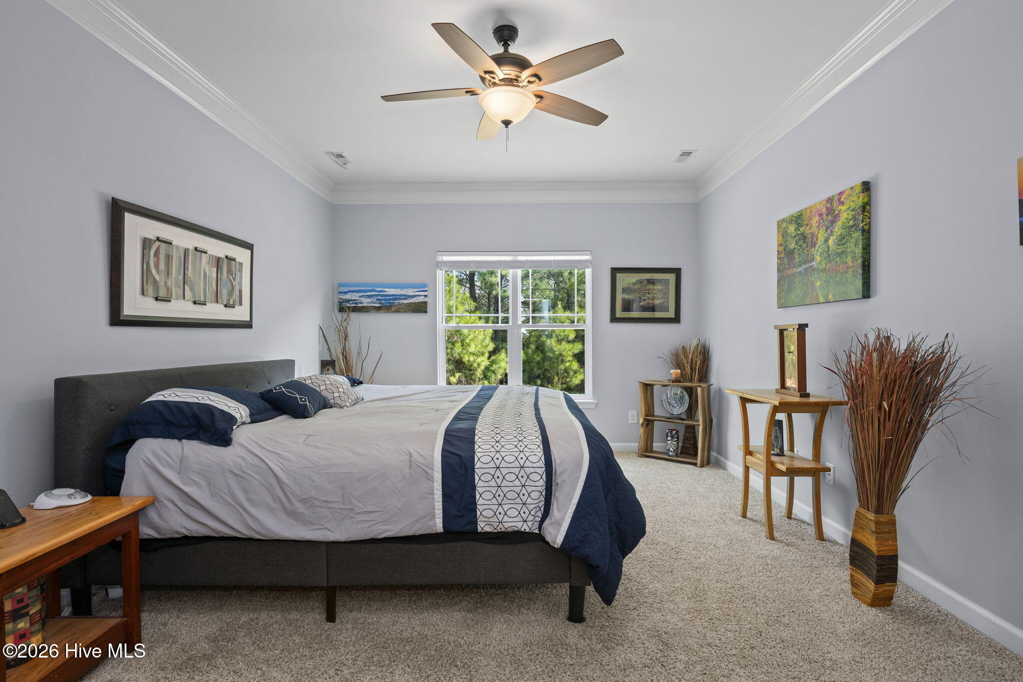 100558397 | Photo 20