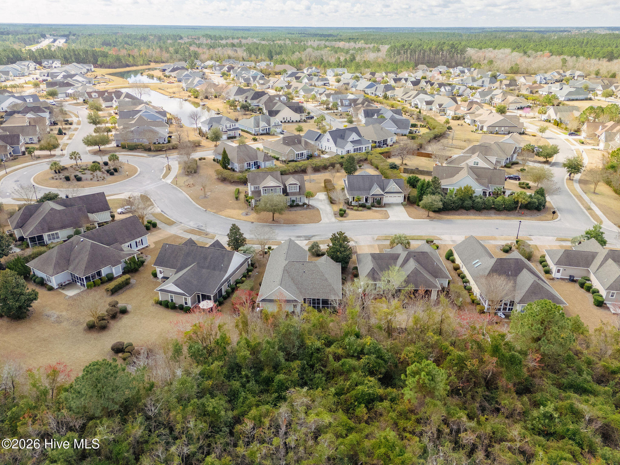 100565690 | Photo 50