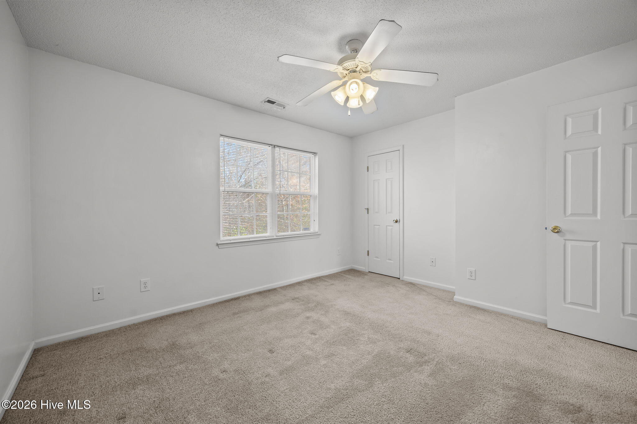 100542326 | Photo 13